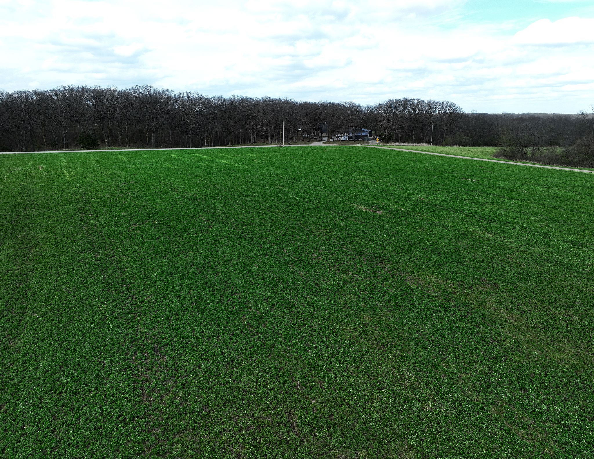 Listing Photo: DJI_0223