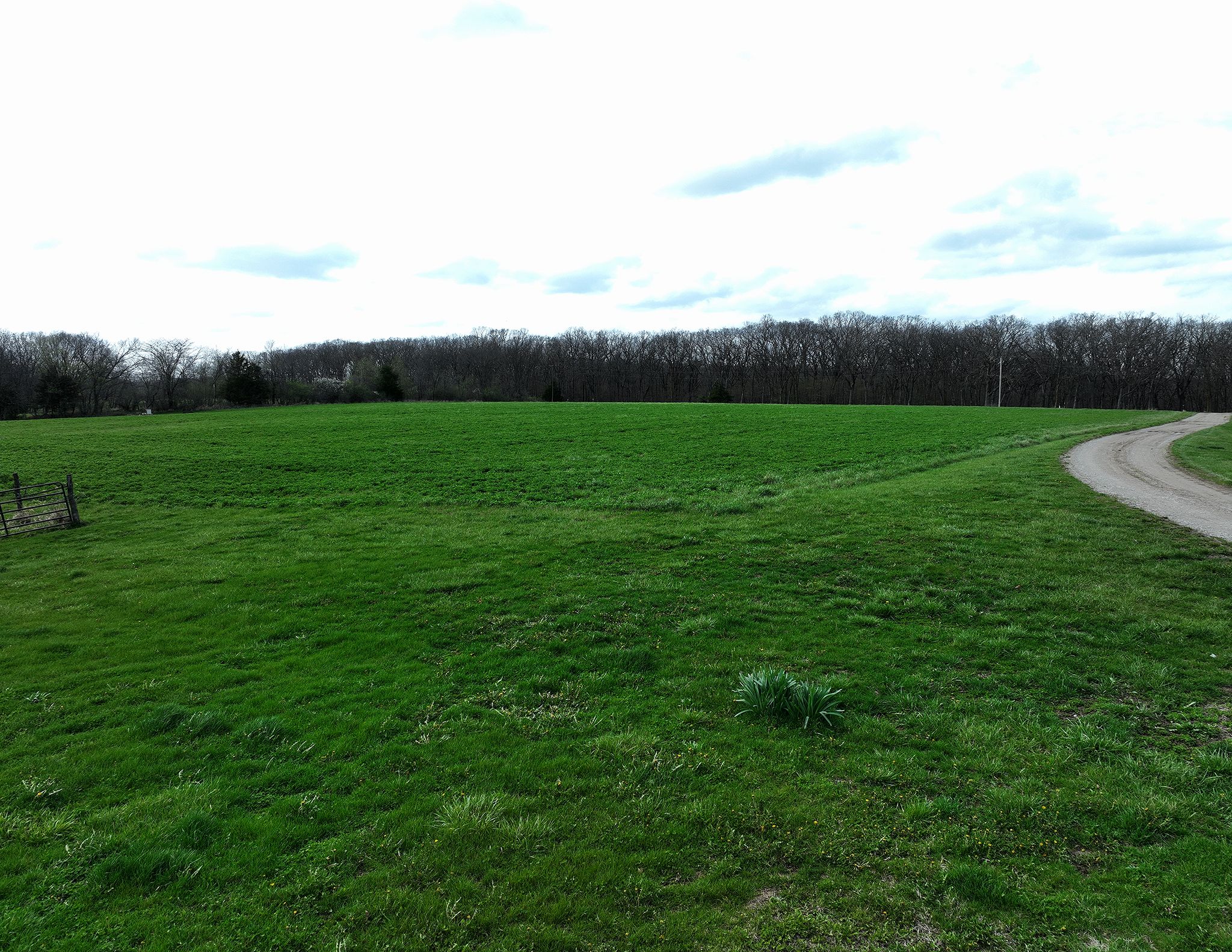 Listing Photo: DJI_0227