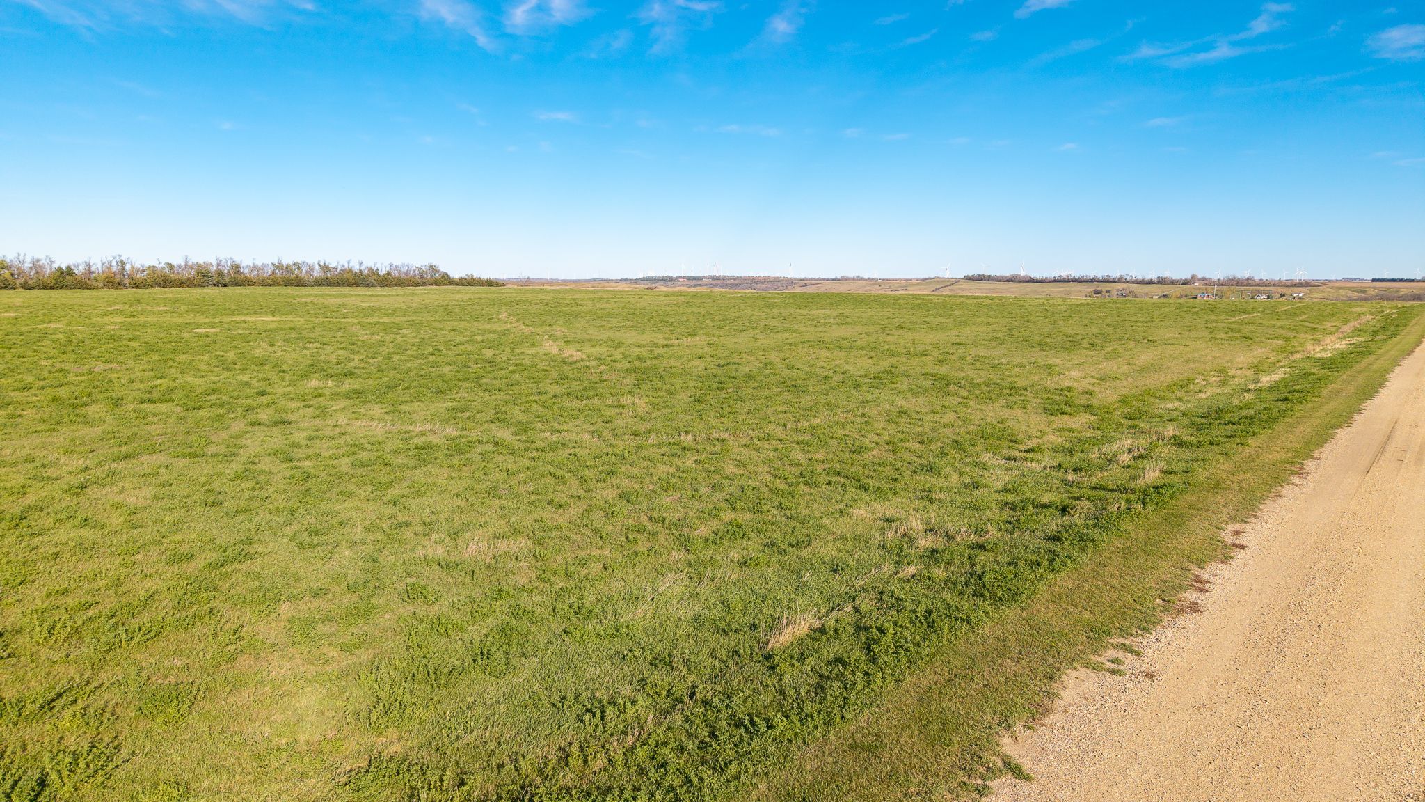 Listing Photo: Barnes County Farmland 1