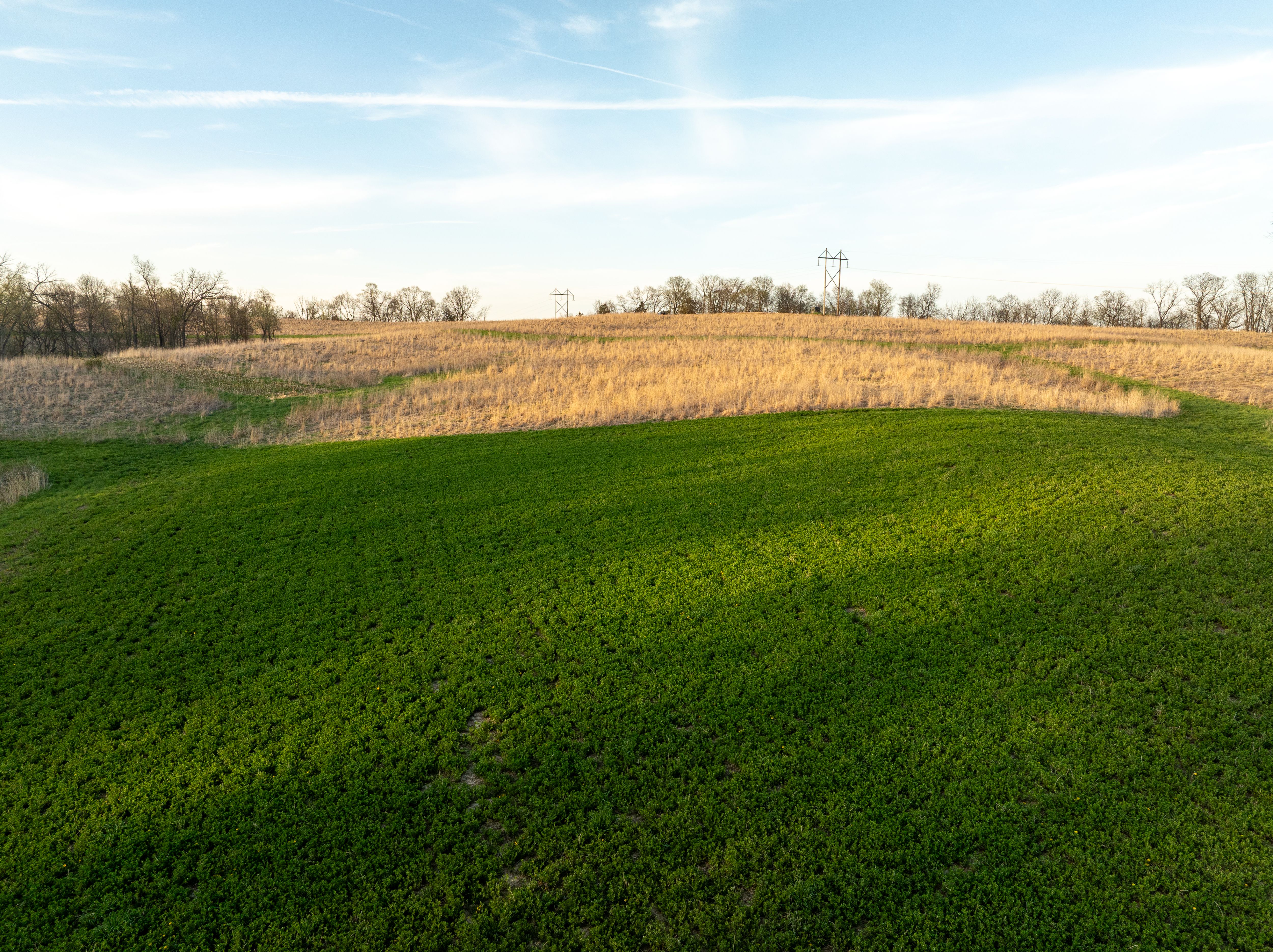 Listing Photo: DJI_0259