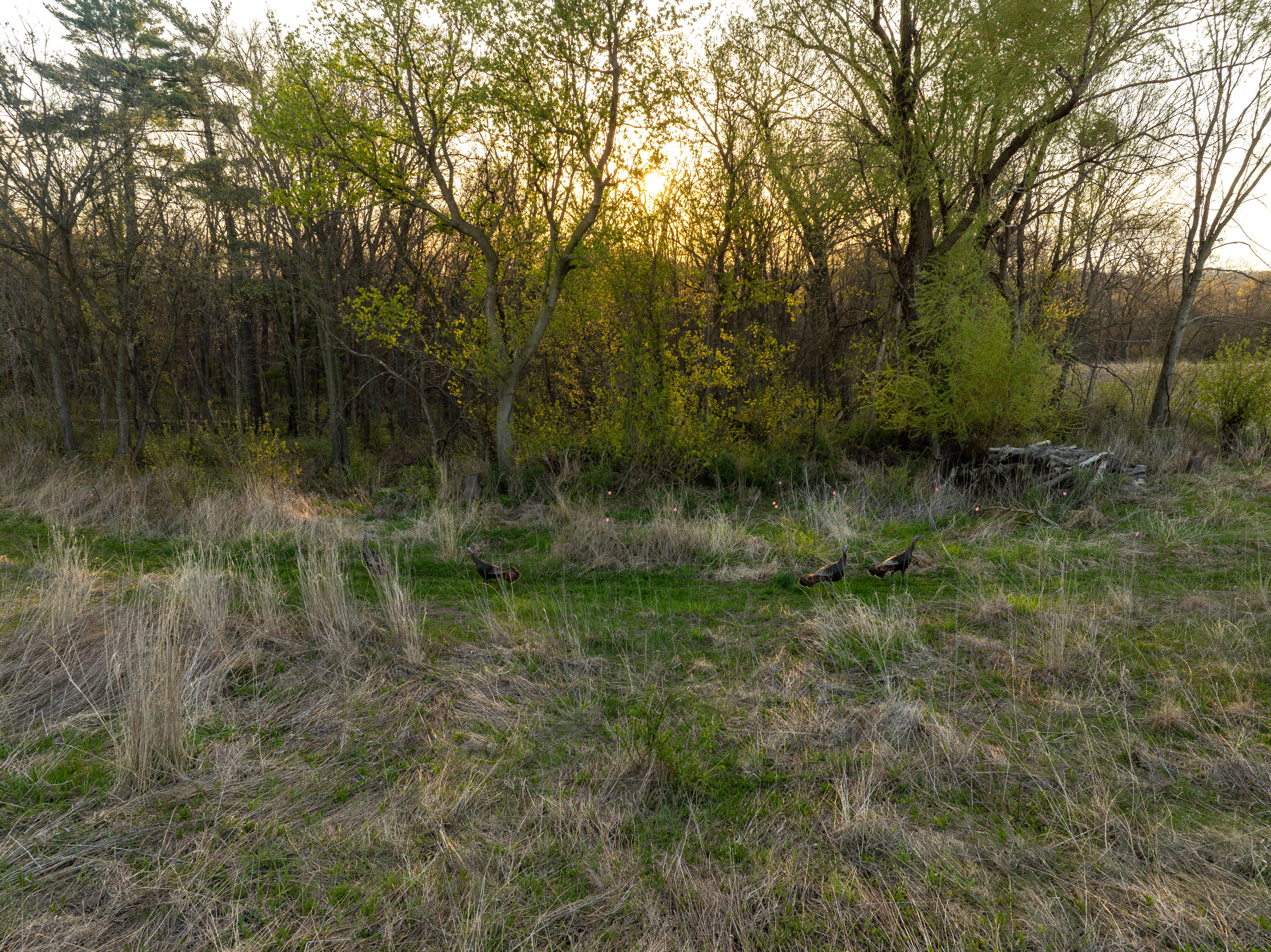 Listing Photo: DJI_0440