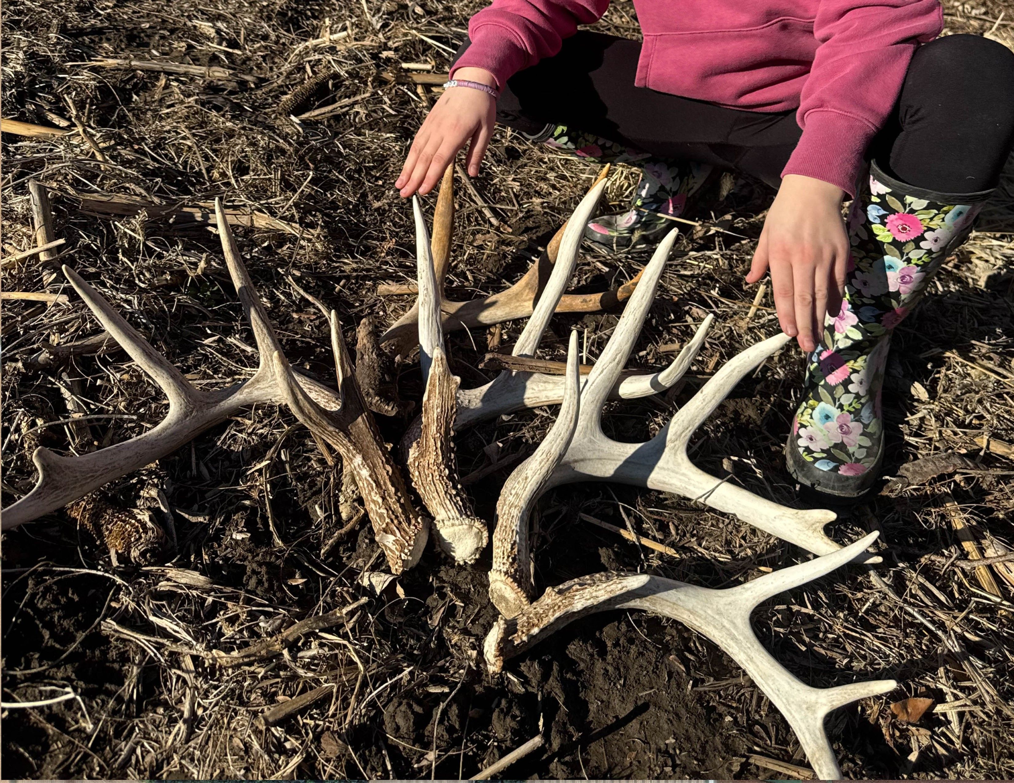 Listing Photo: Untitled-5