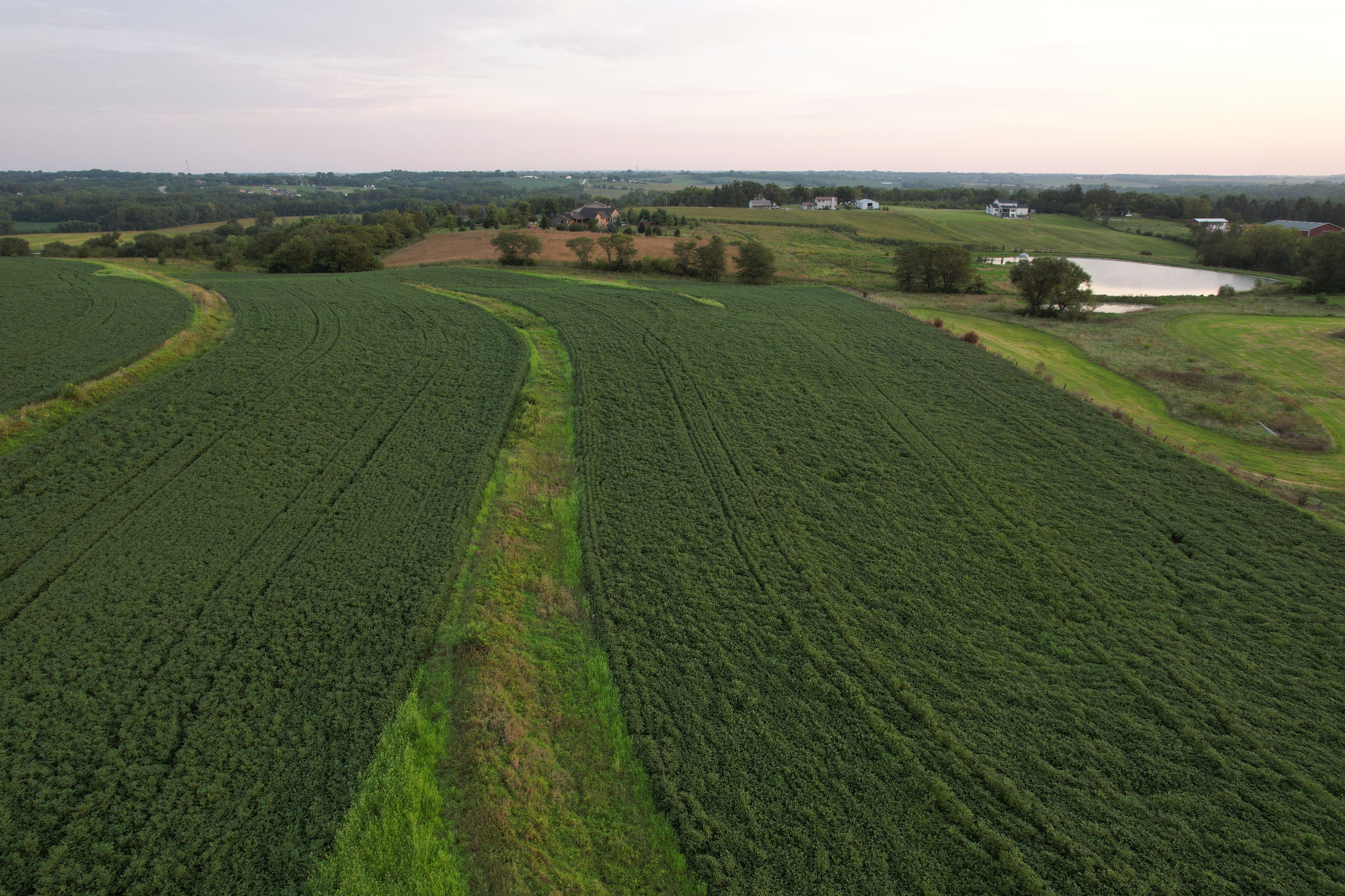 Listing Photo: DJI_0677