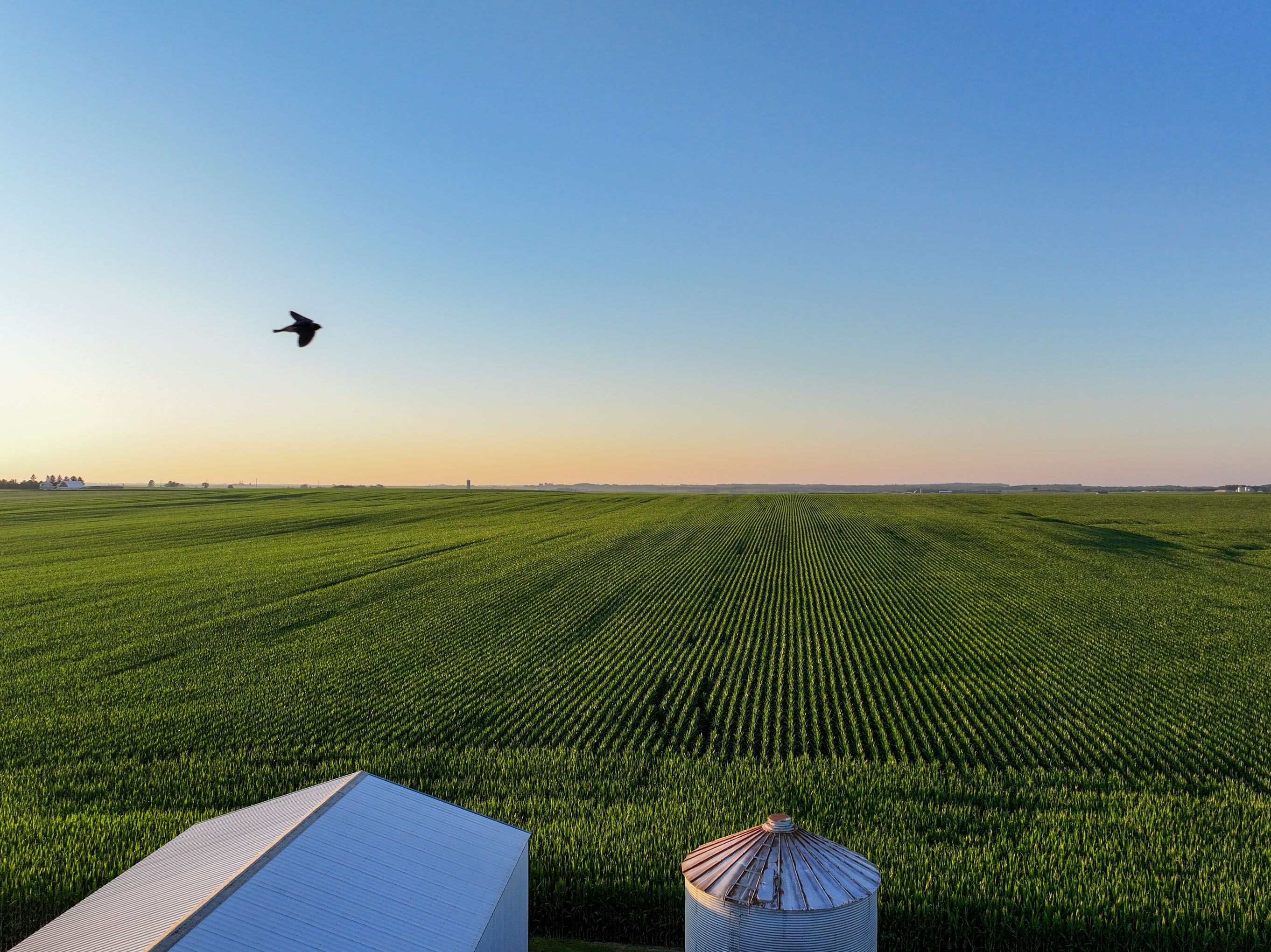 Listing Photo: DJI_20260711201157_0159_D