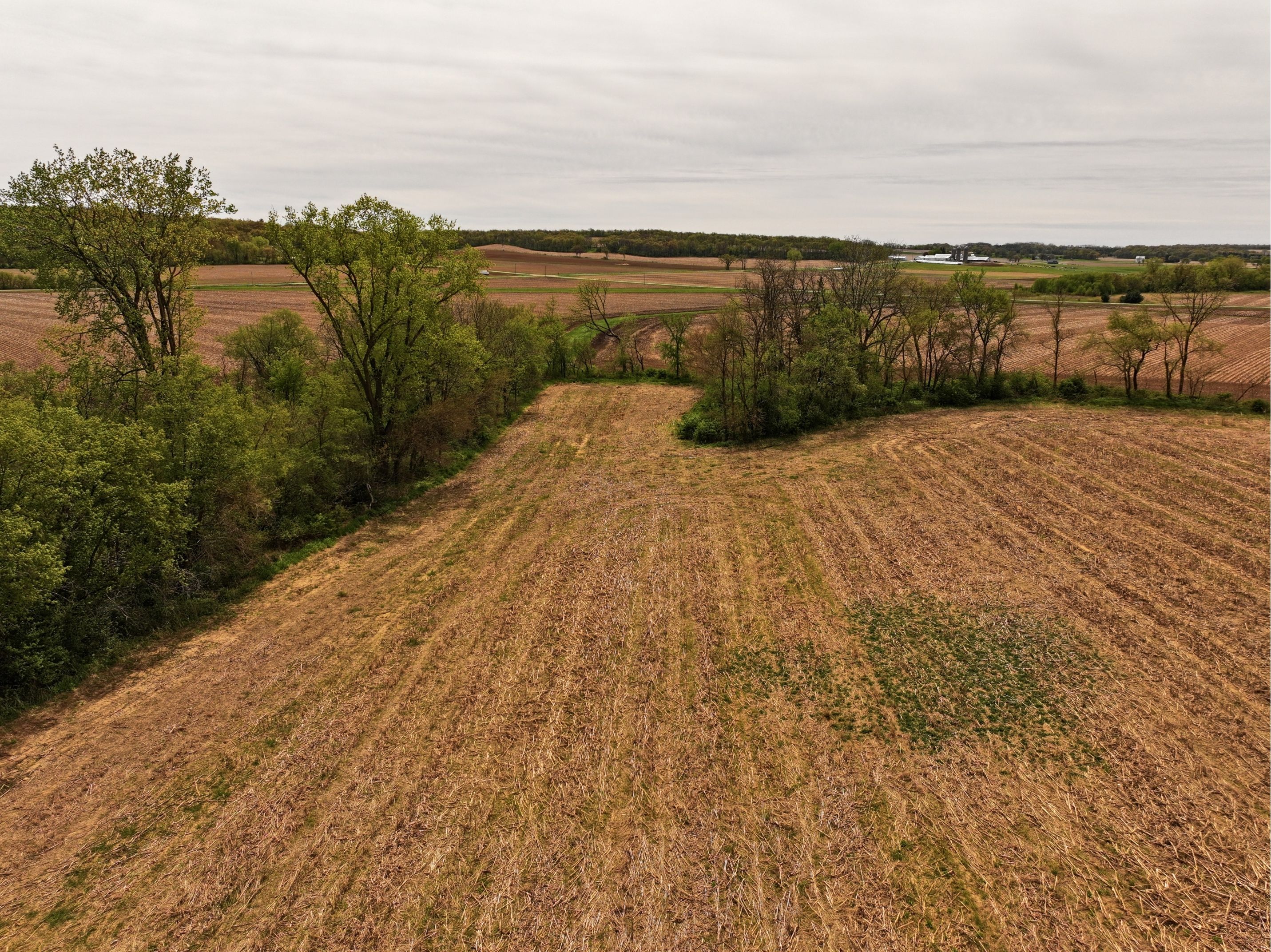 Listing Photo: DJI_20260415171426_0765_D