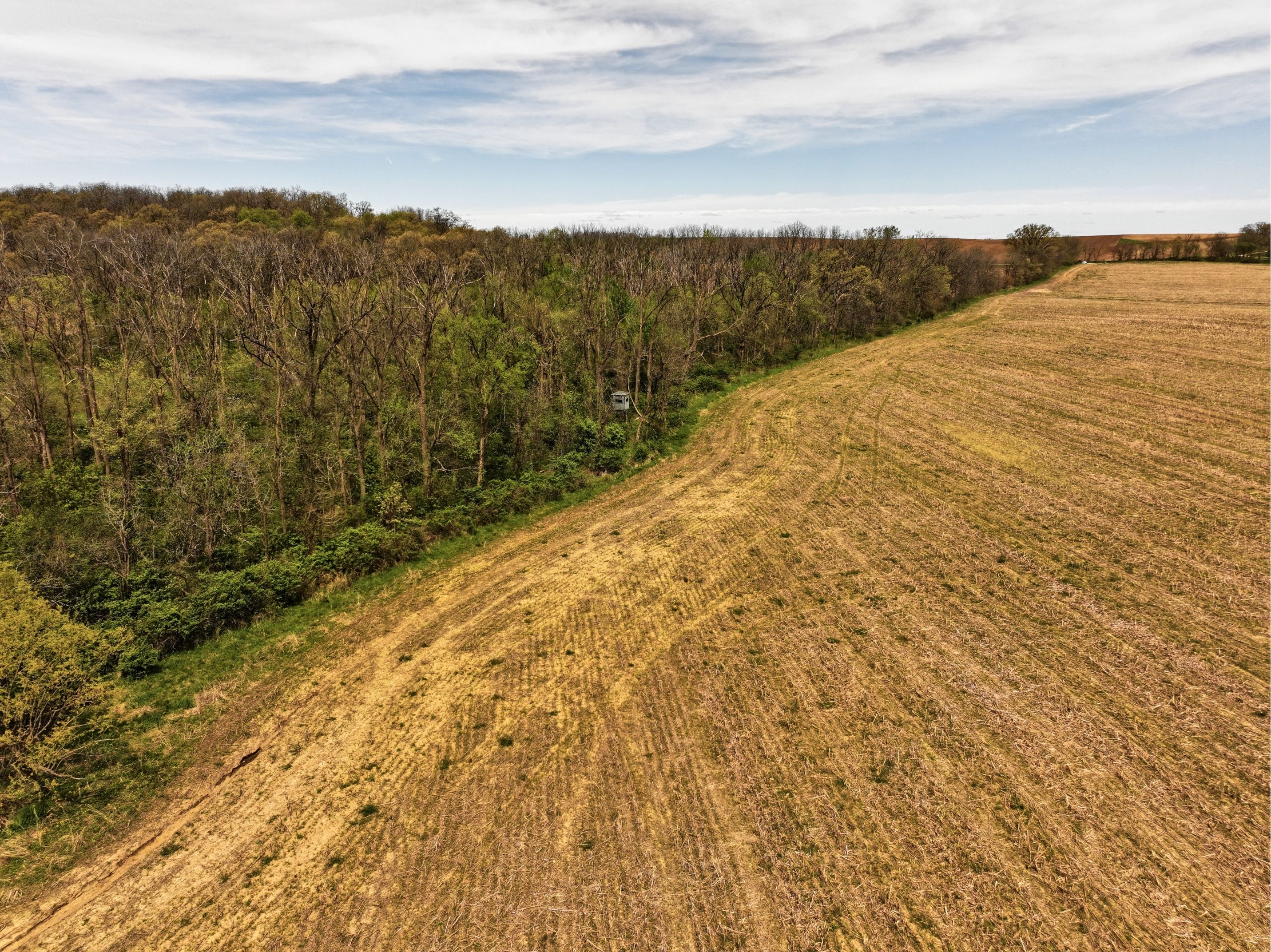 Listing Photo: DJI_20260415171448_0766_D