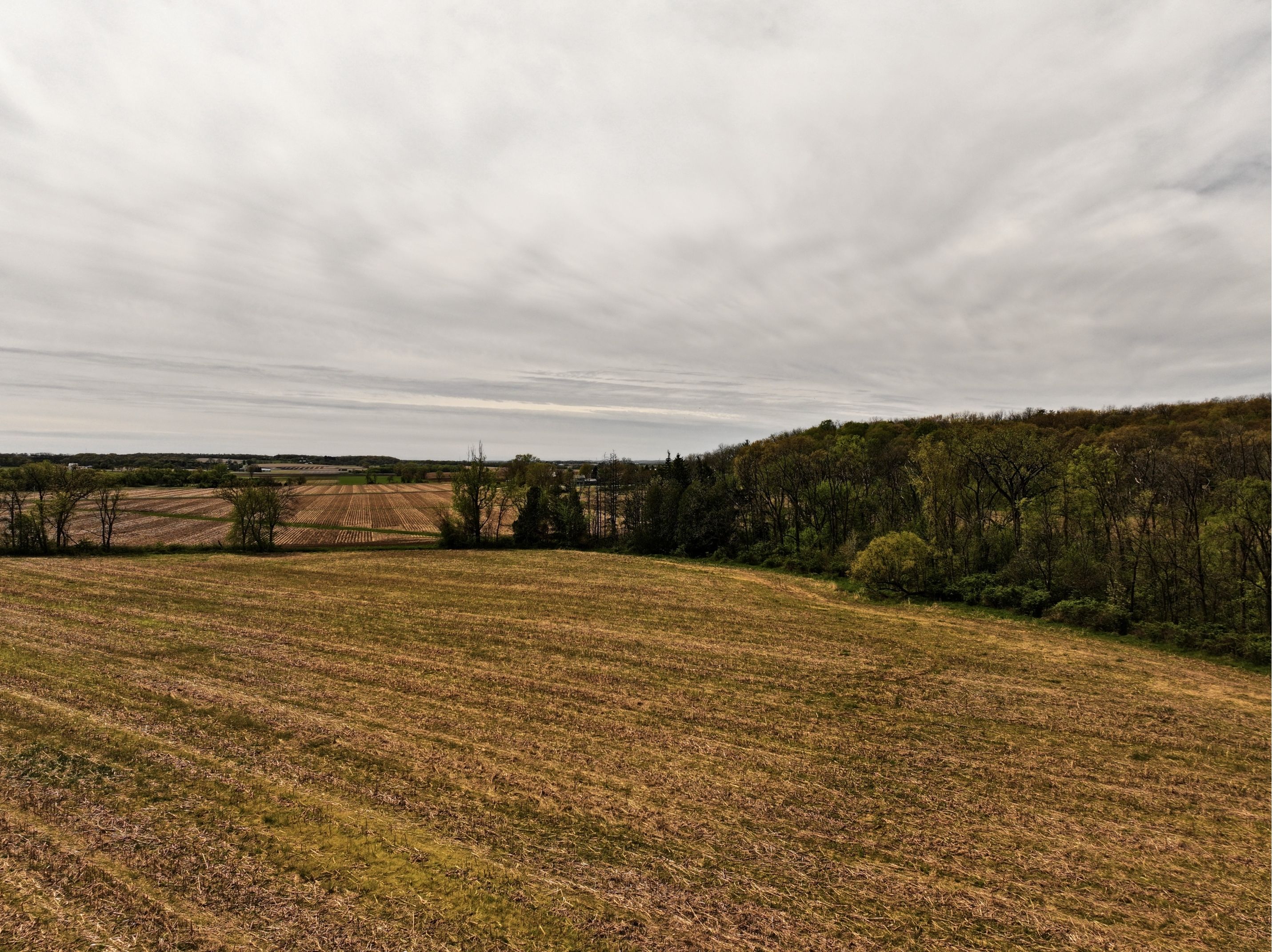 Listing Photo: DJI_20260415171515_0770_D