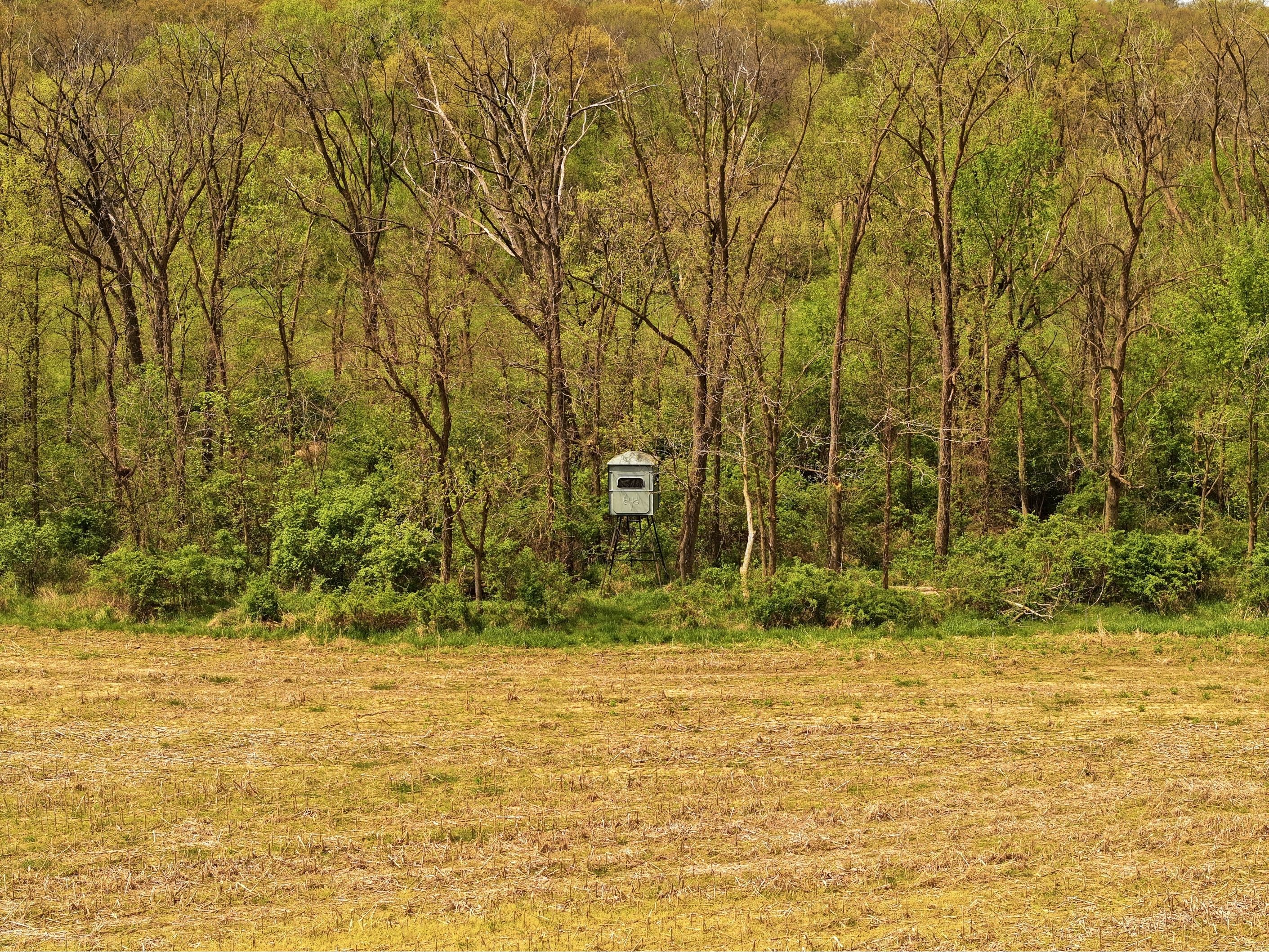 Listing Photo: DJI_20260415171527_0771_D