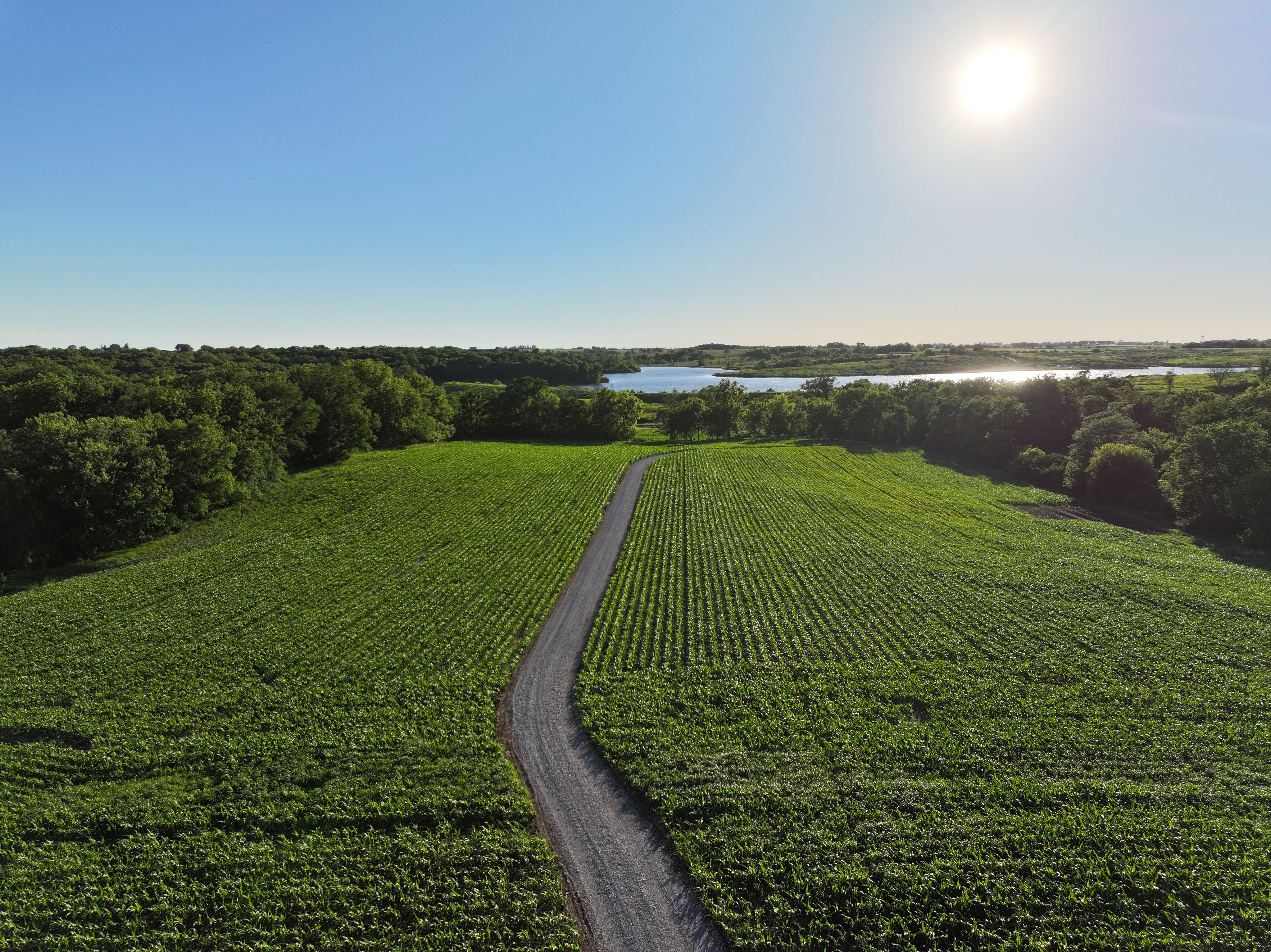 Listing Photo: DJI_20260614193618_0792_D-1