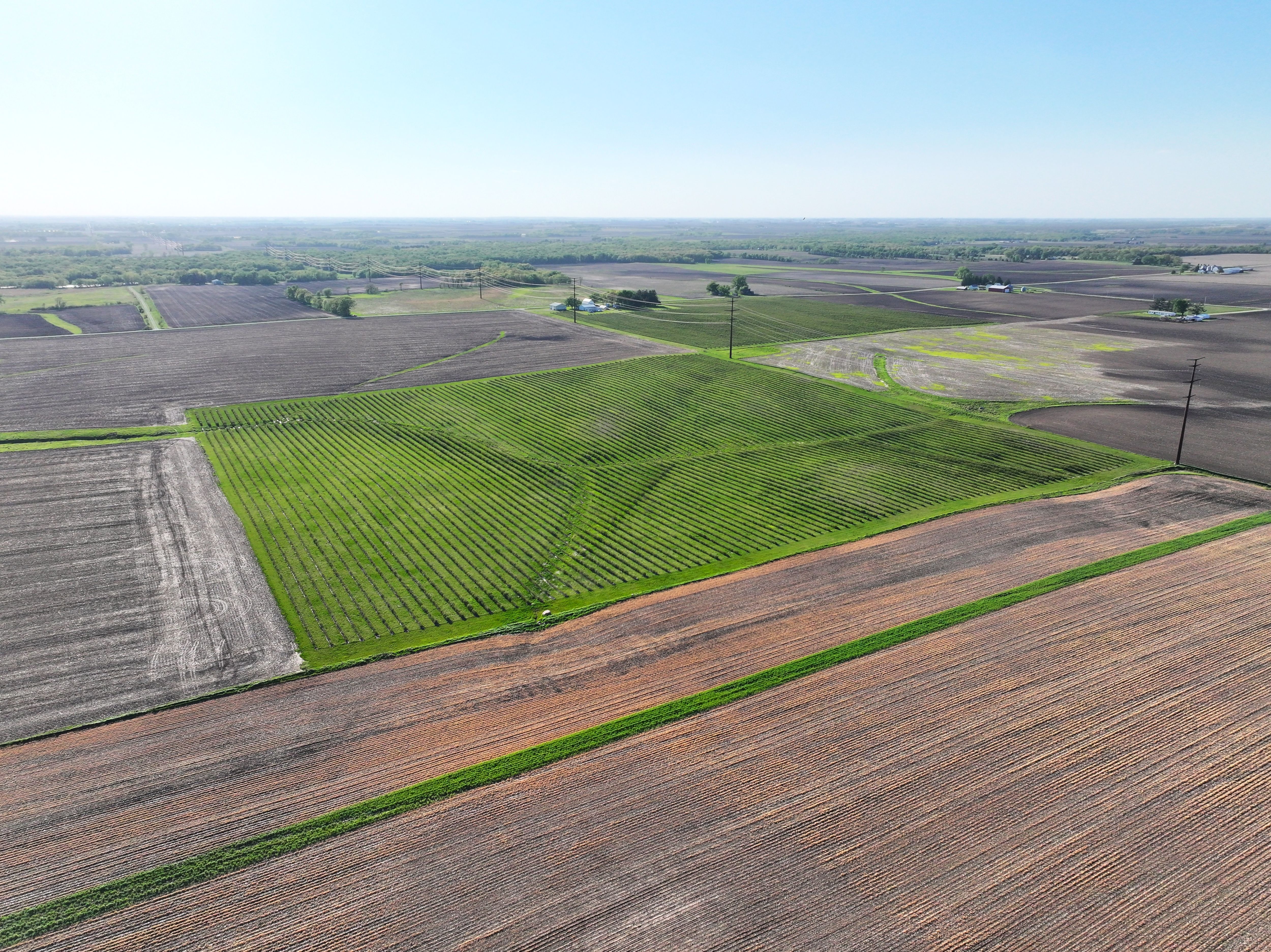 Listing Photo: Black Hawk County Iowa Farmland Available