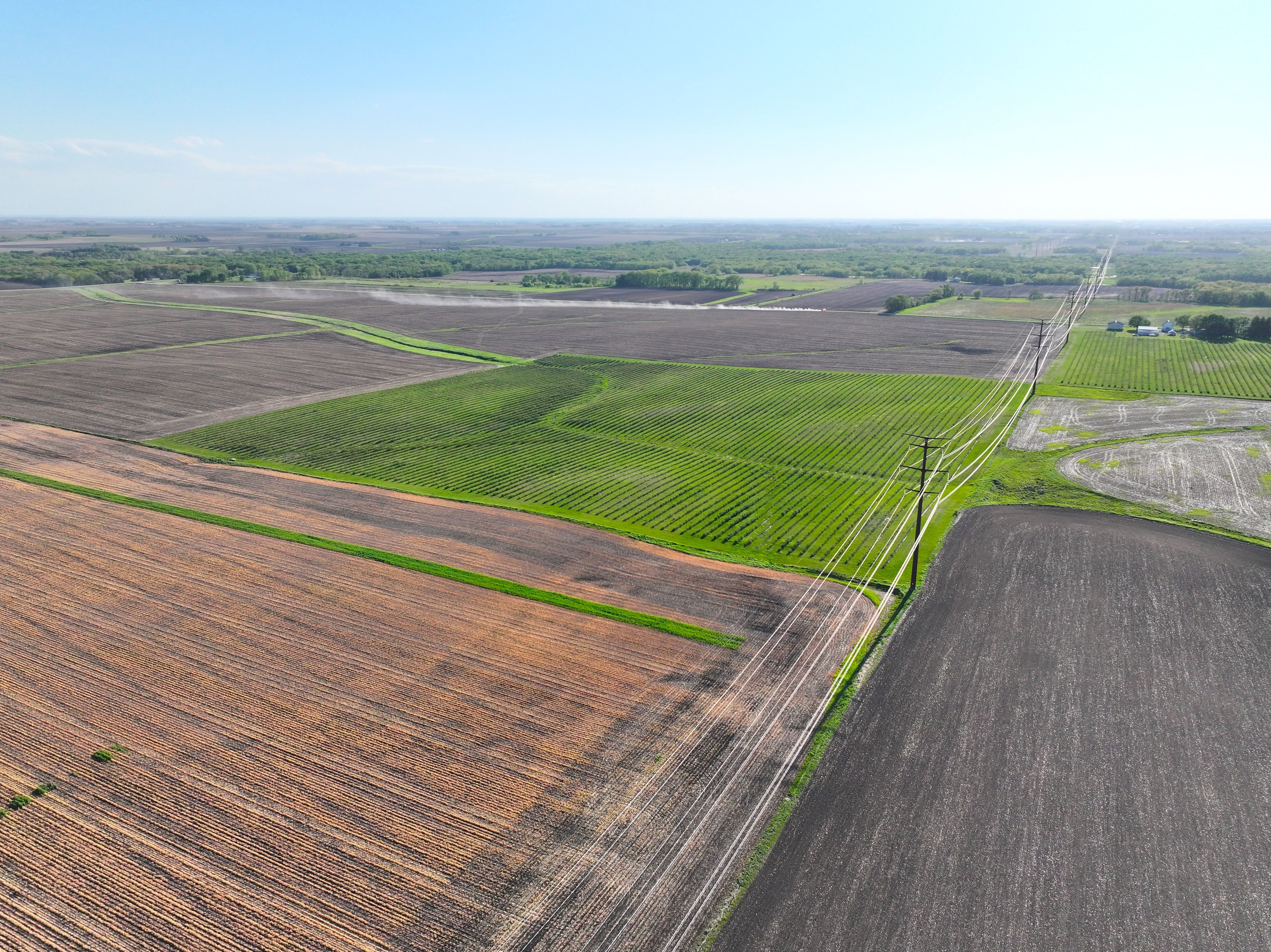 Listing Photo: Iowa-Farmland-For-Sale