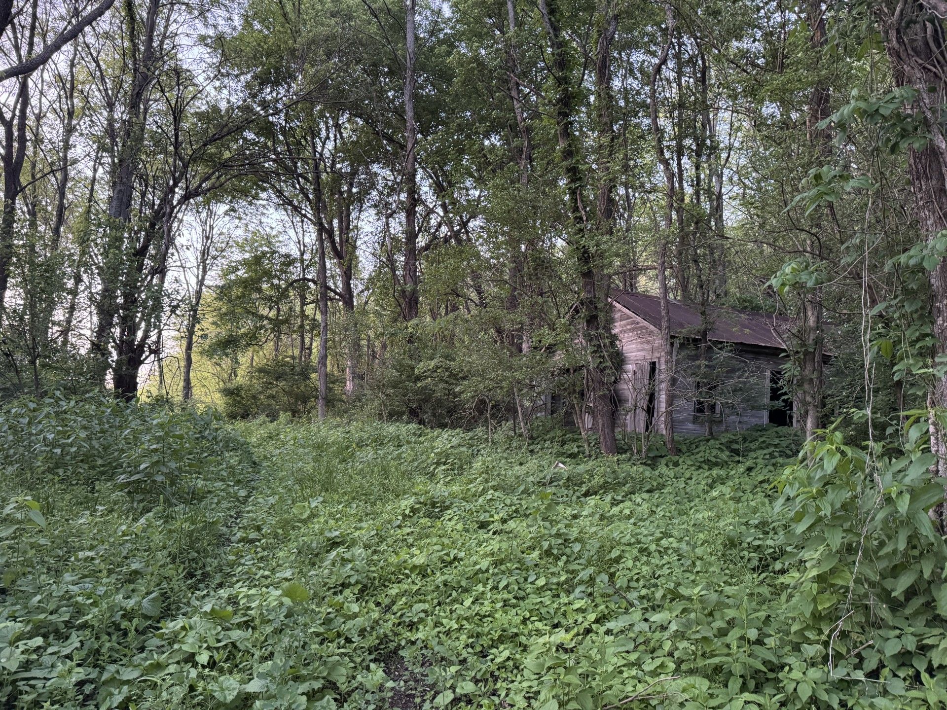 Listing Photo: Mercer-Co-Illinois-Recreational-Land-Available