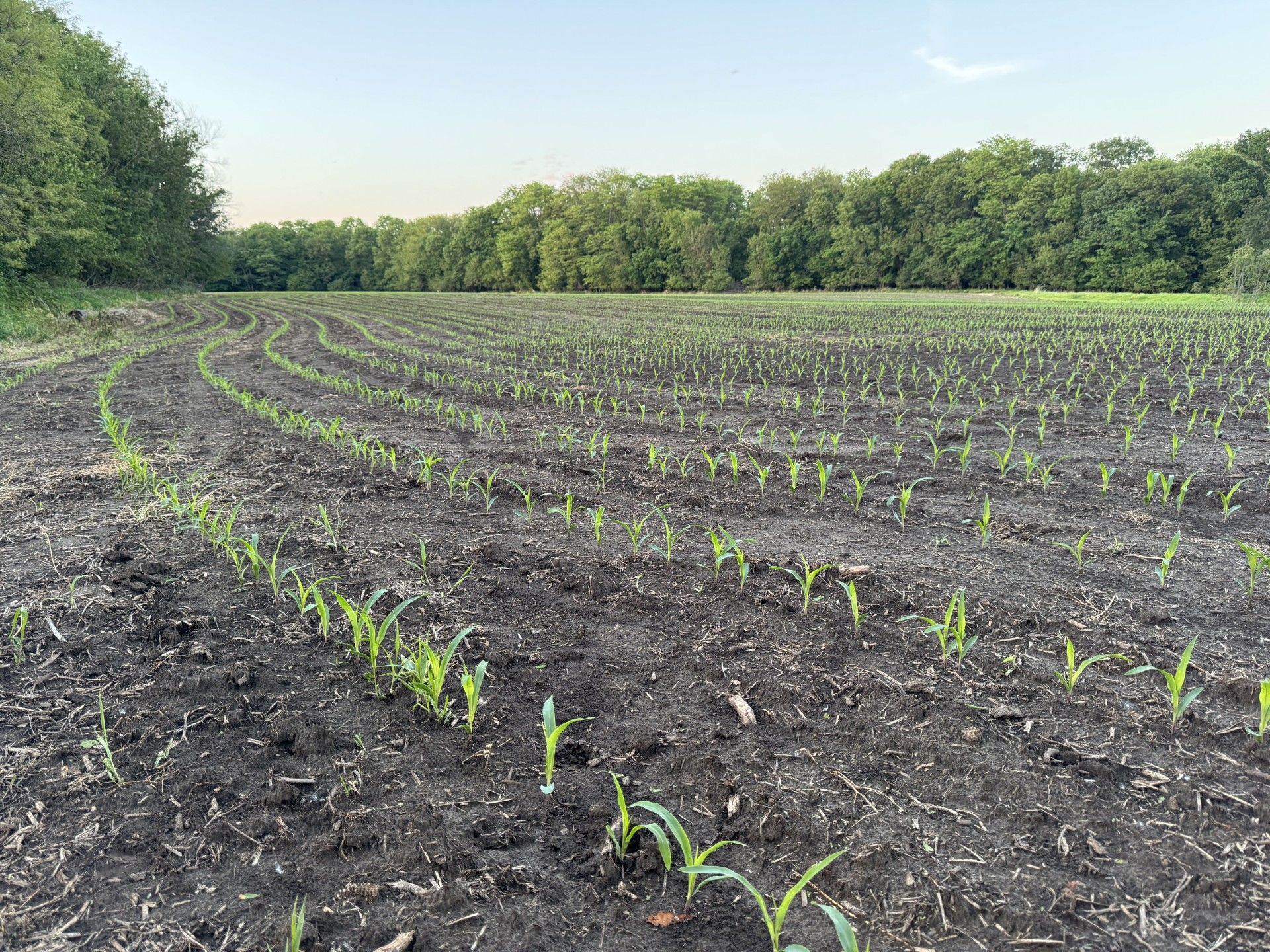Listing Photo: Mercer-Co-IL-Farm-Land-For-Sale