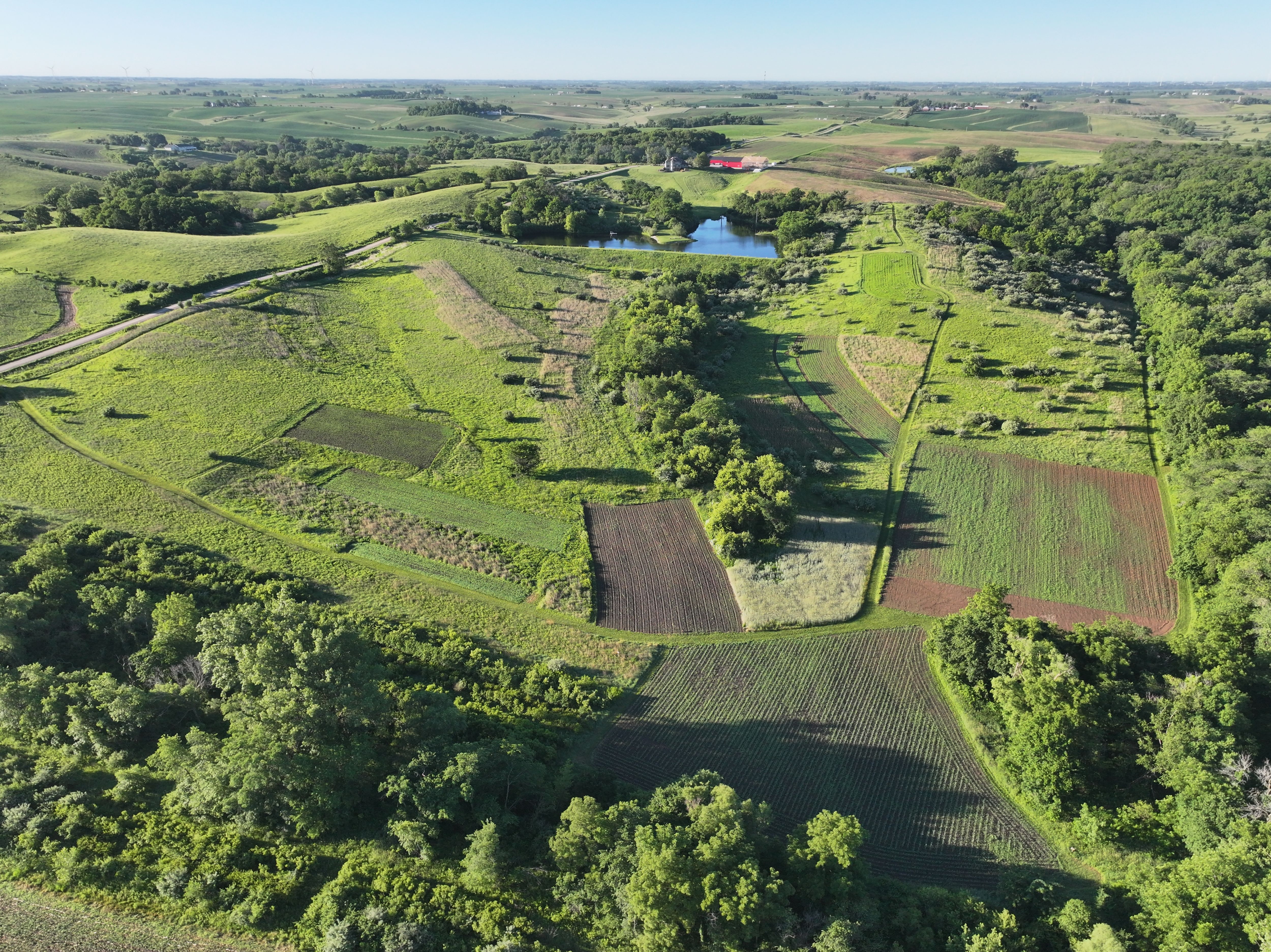 Listing Photo: DJI_20260612070400_0432_D