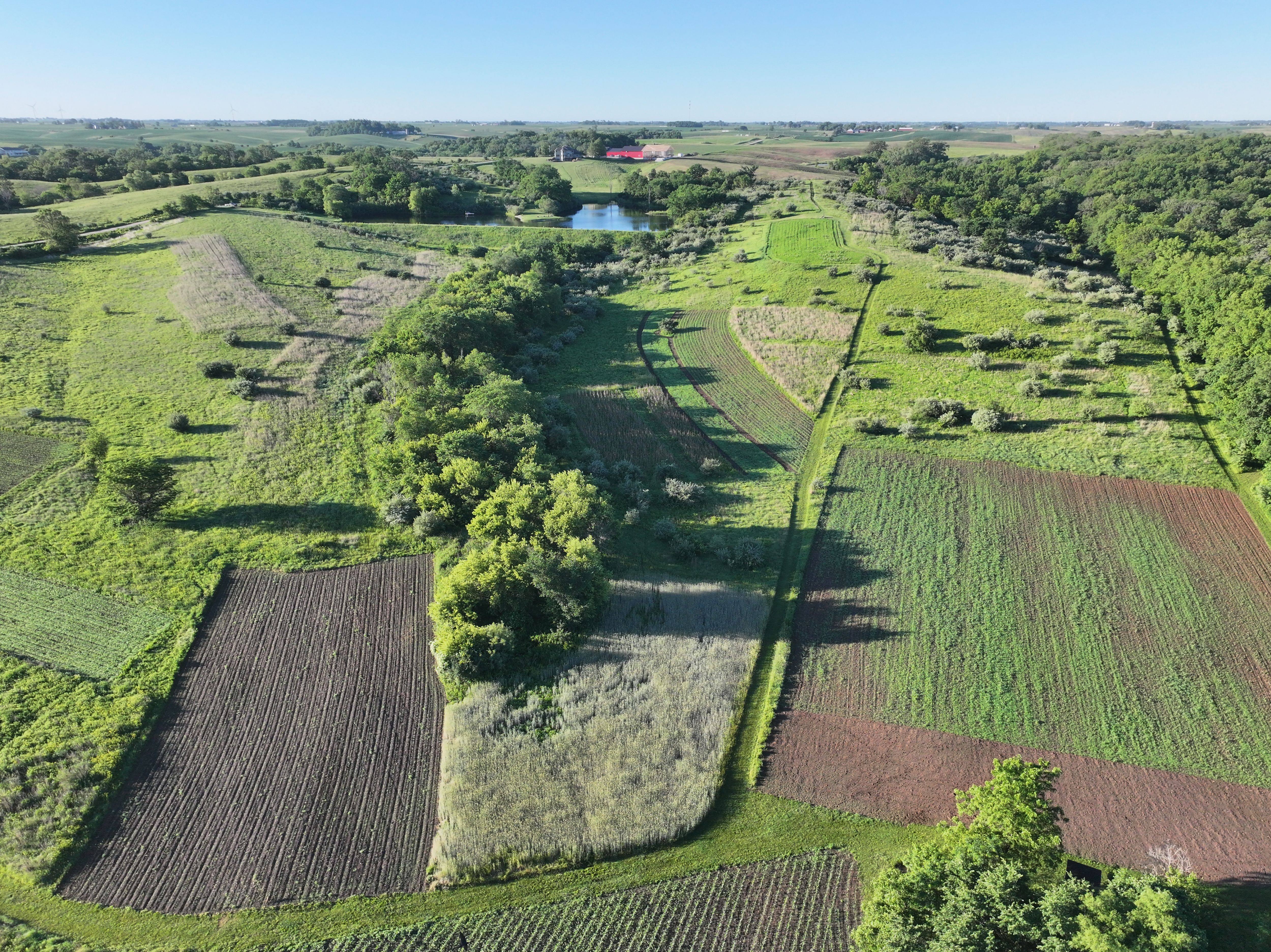 Listing Photo: DJI_20260612070422_0435_D