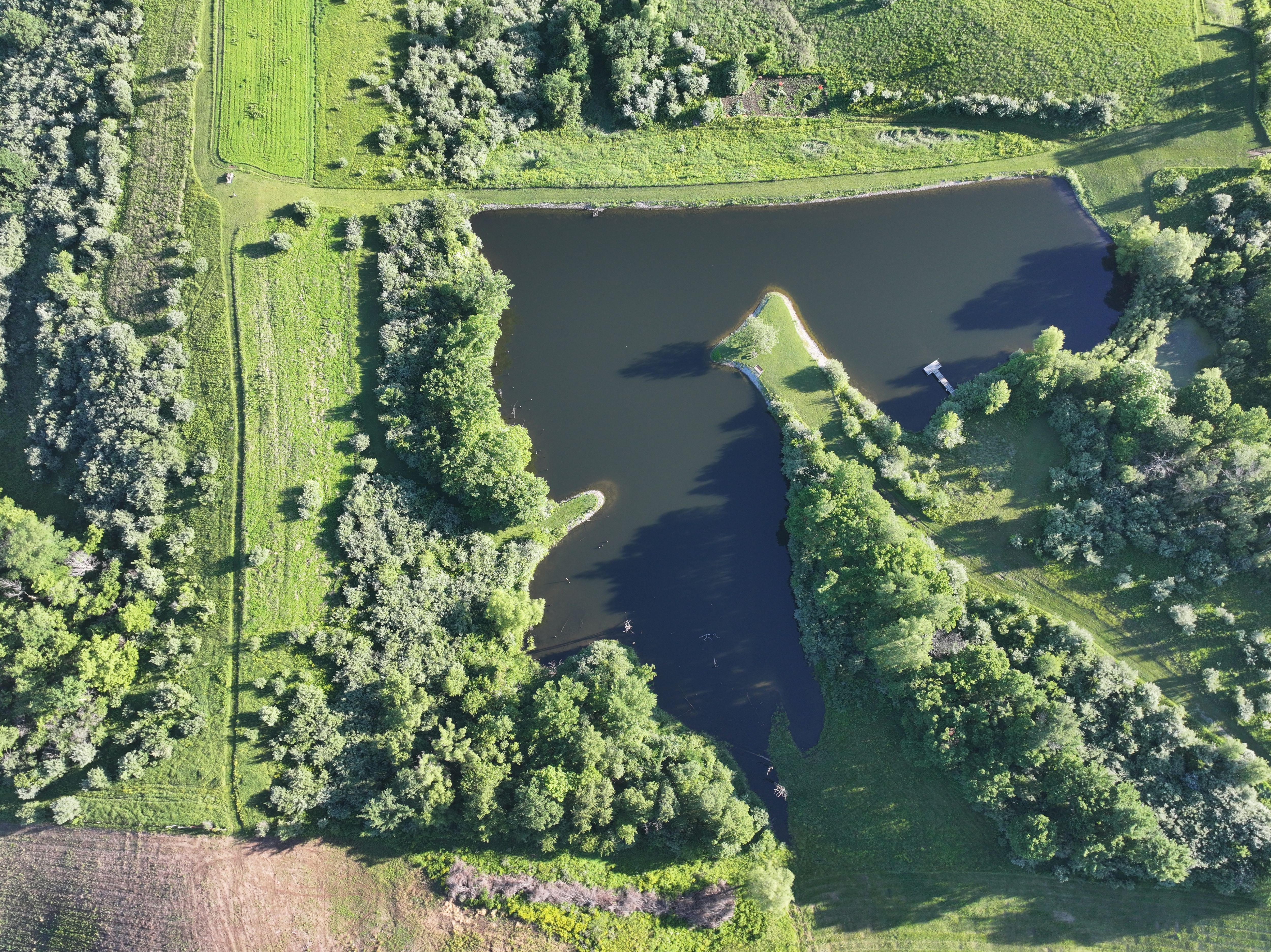 Listing Photo: DJI_20260612071623_0482_D