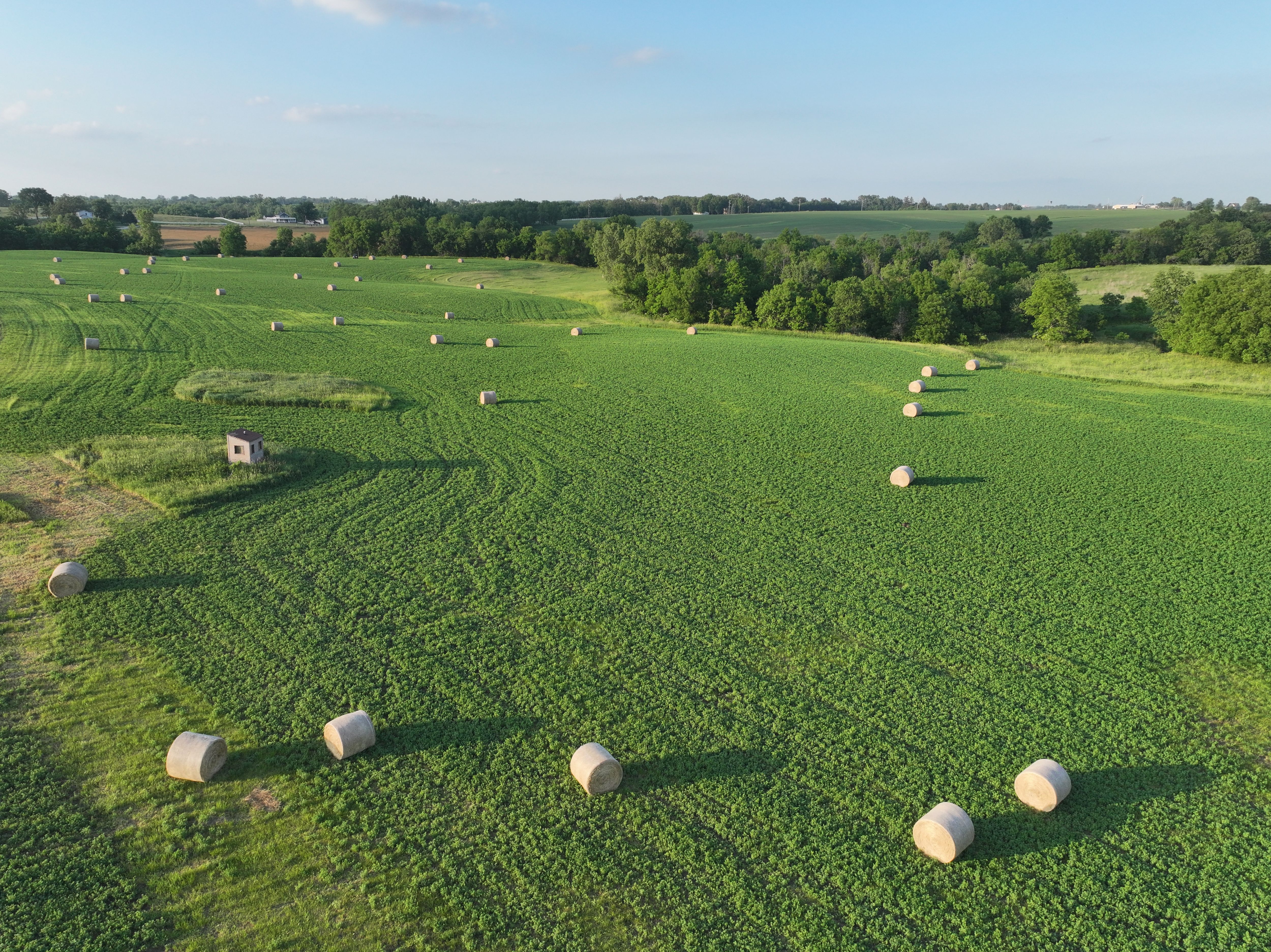 Listing Photo: DJI_20260609192738_0320_D
