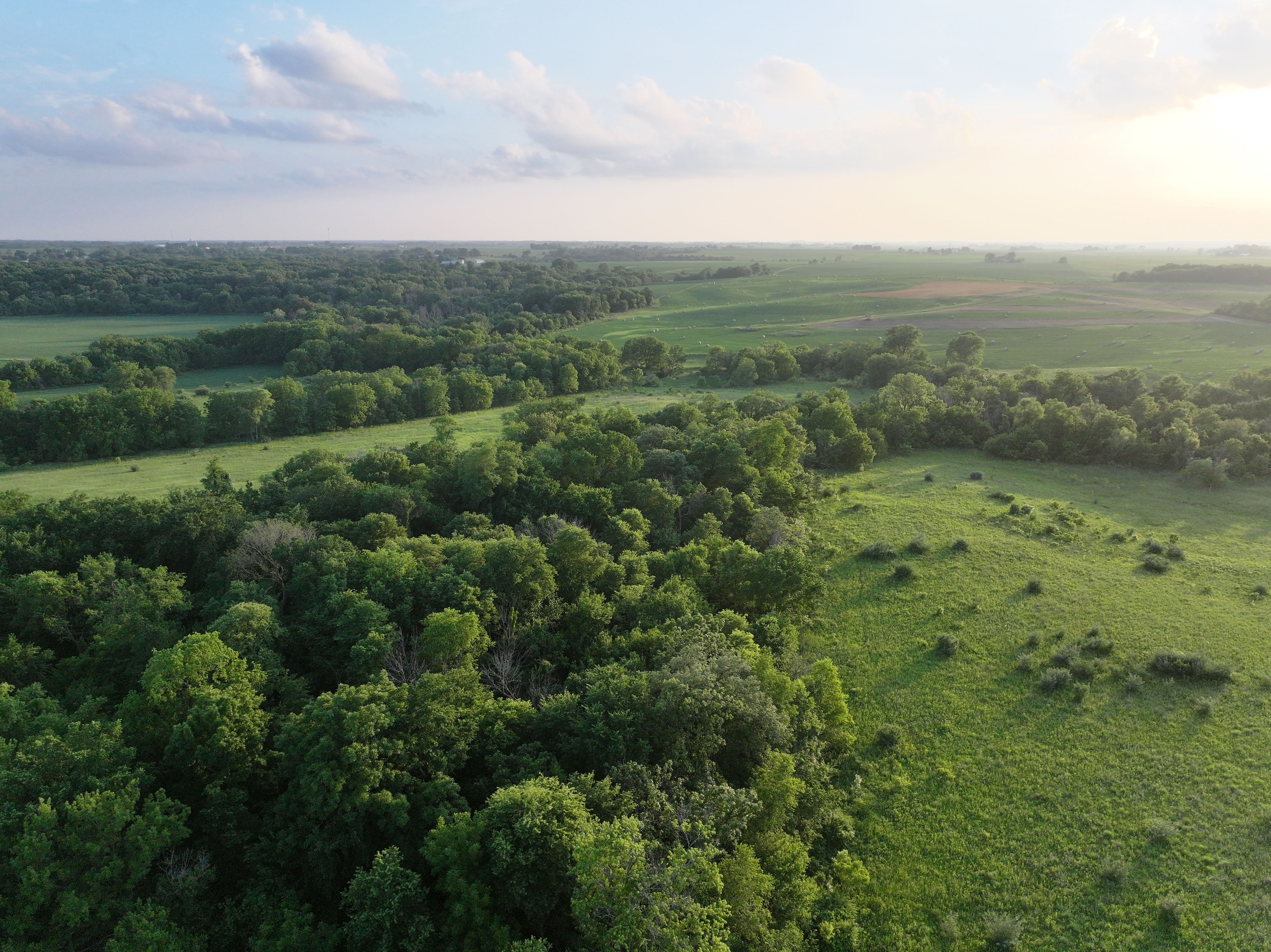 Listing Photo: DJI_20260609195633_0338_D