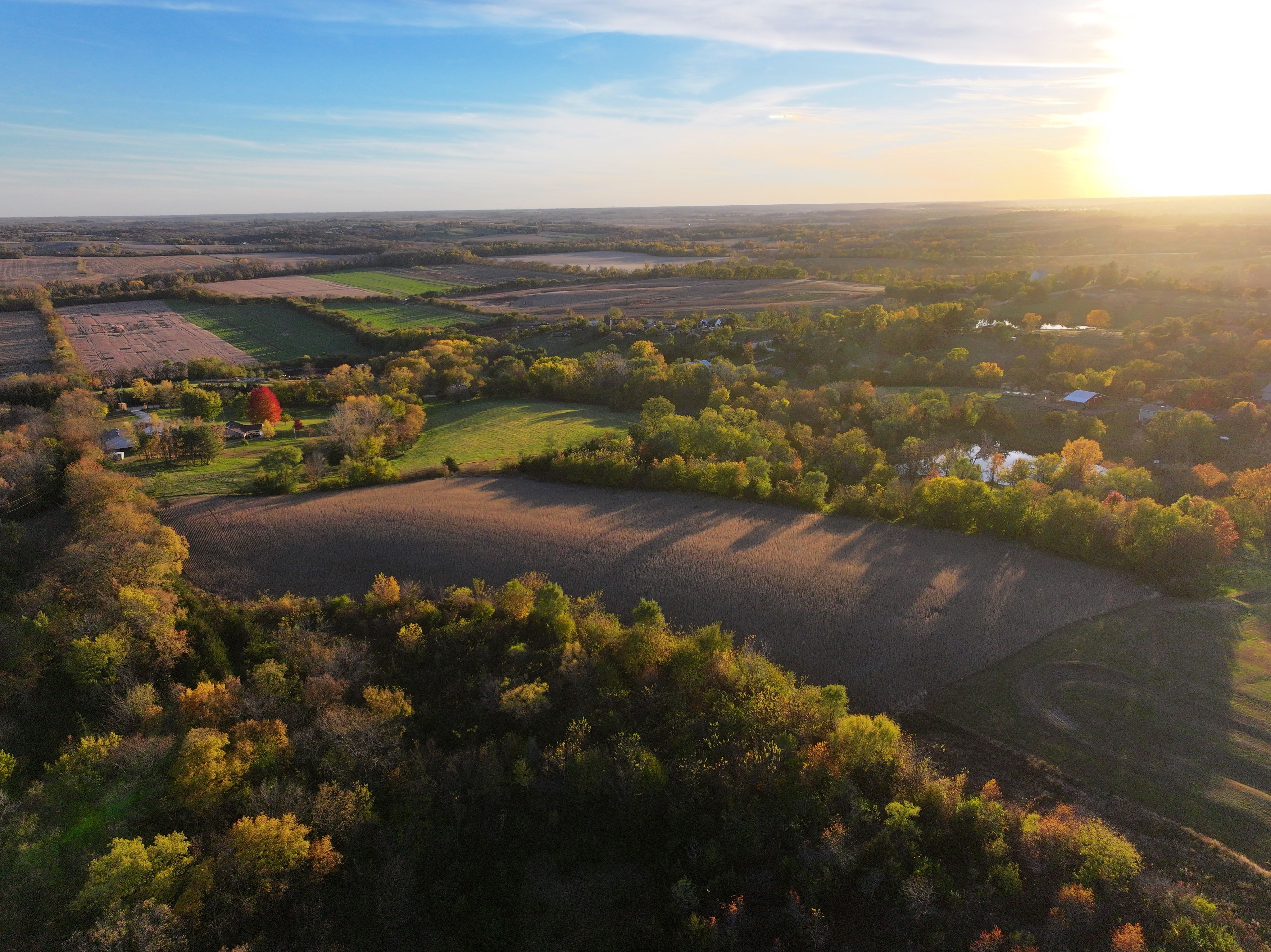 Listing Photo: DJI_20251030095449_0198_D-1