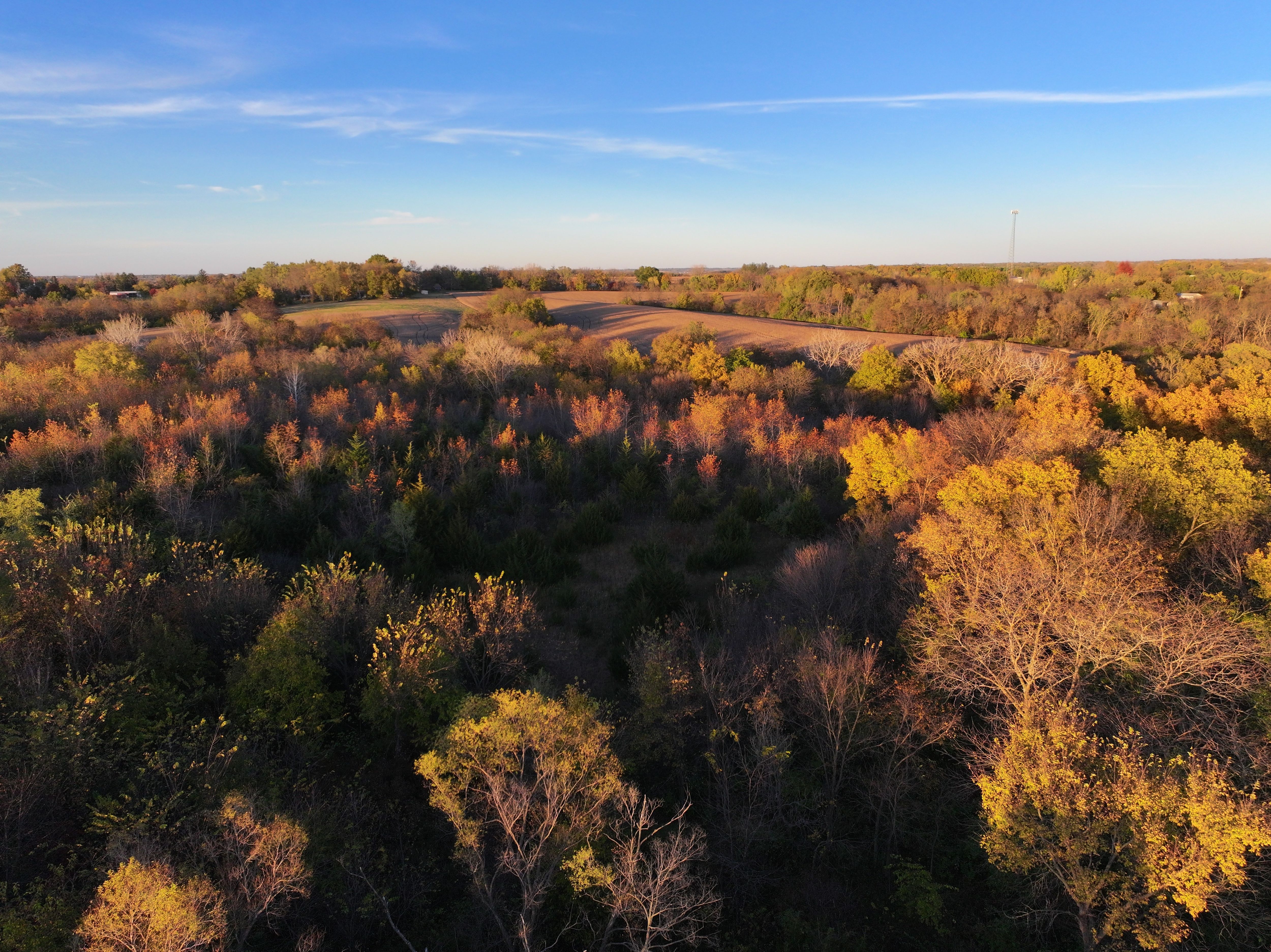 Listing Photo: DJI_20251030095732_0220_D-1