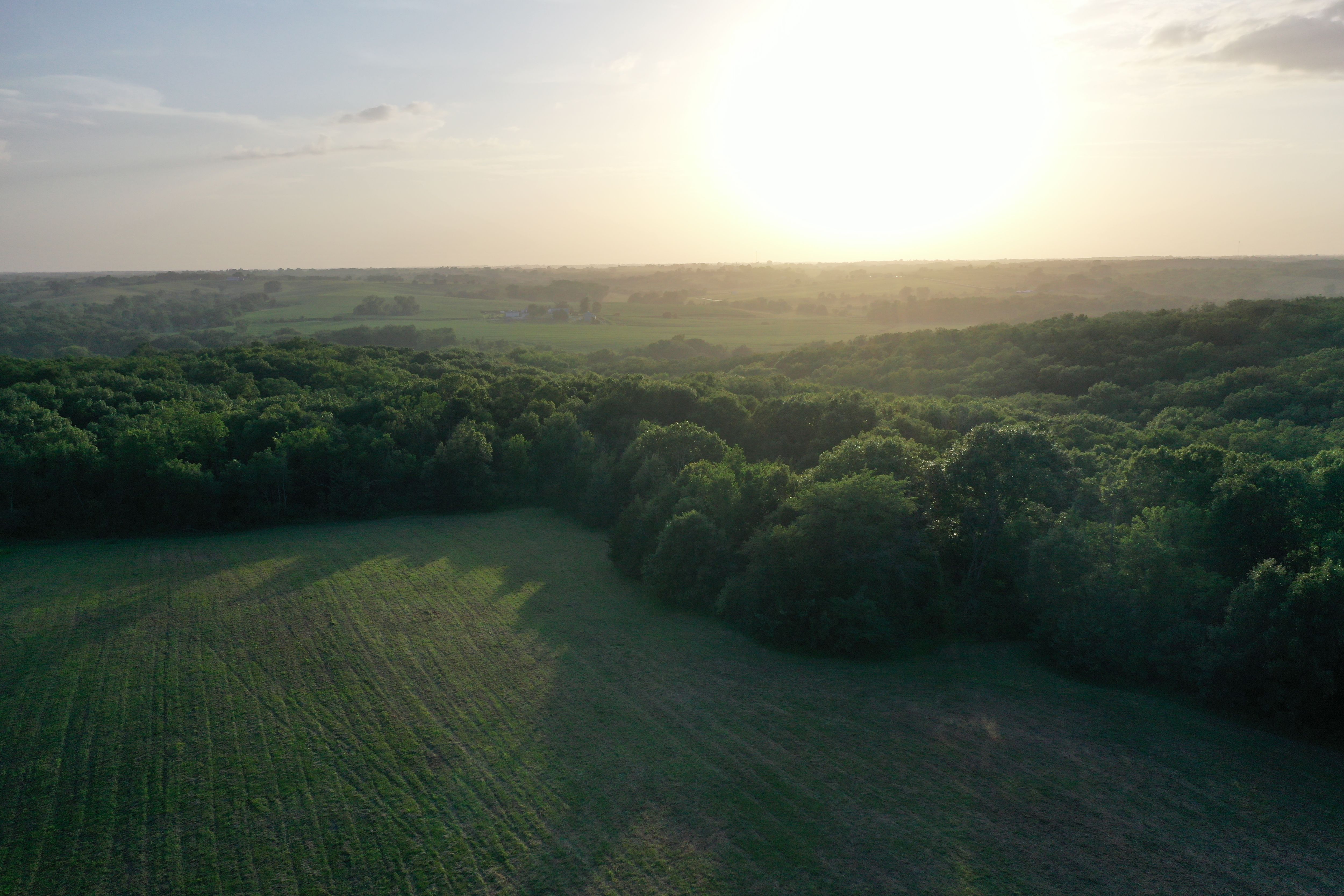Listing Photo: DJI_0273