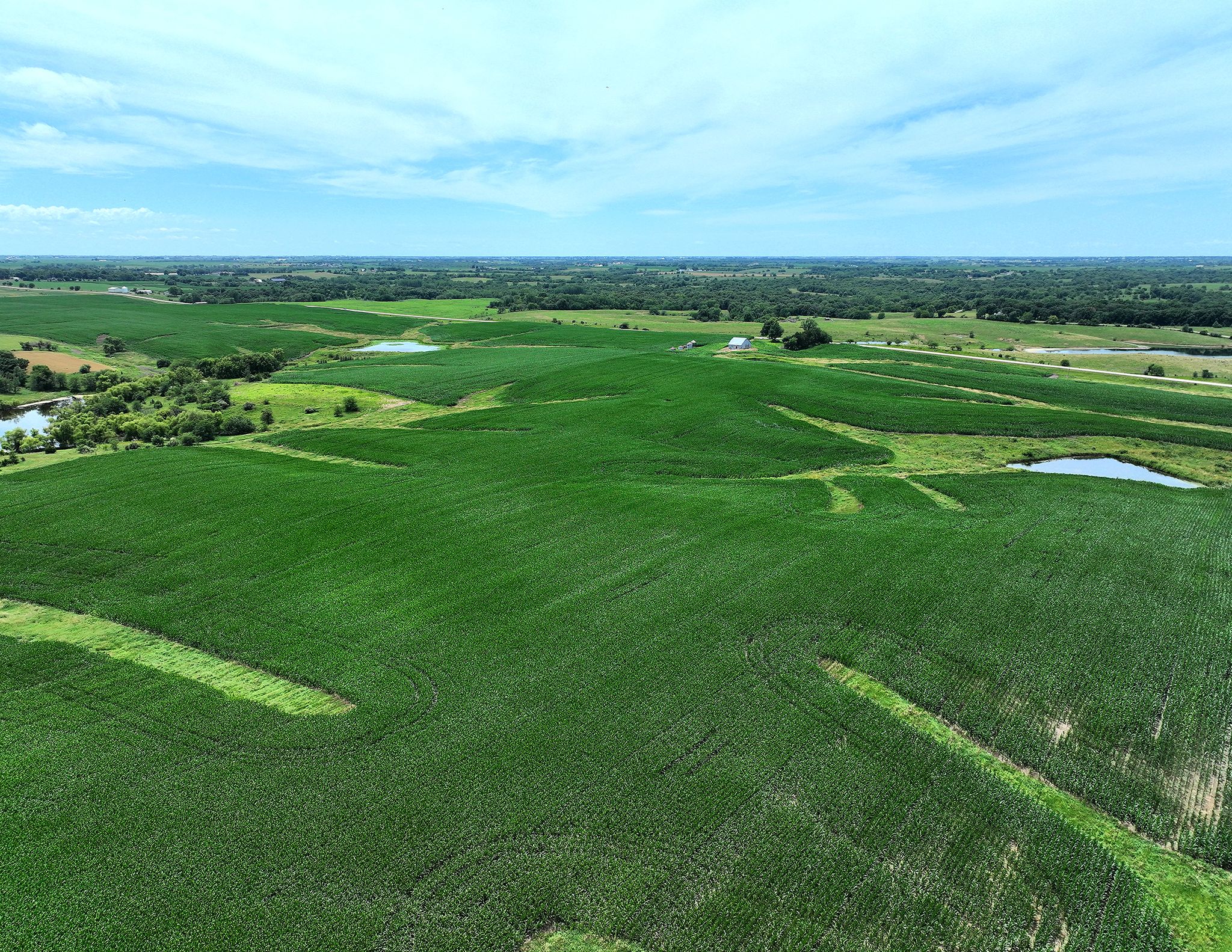 Listing Photo: DJI_0560