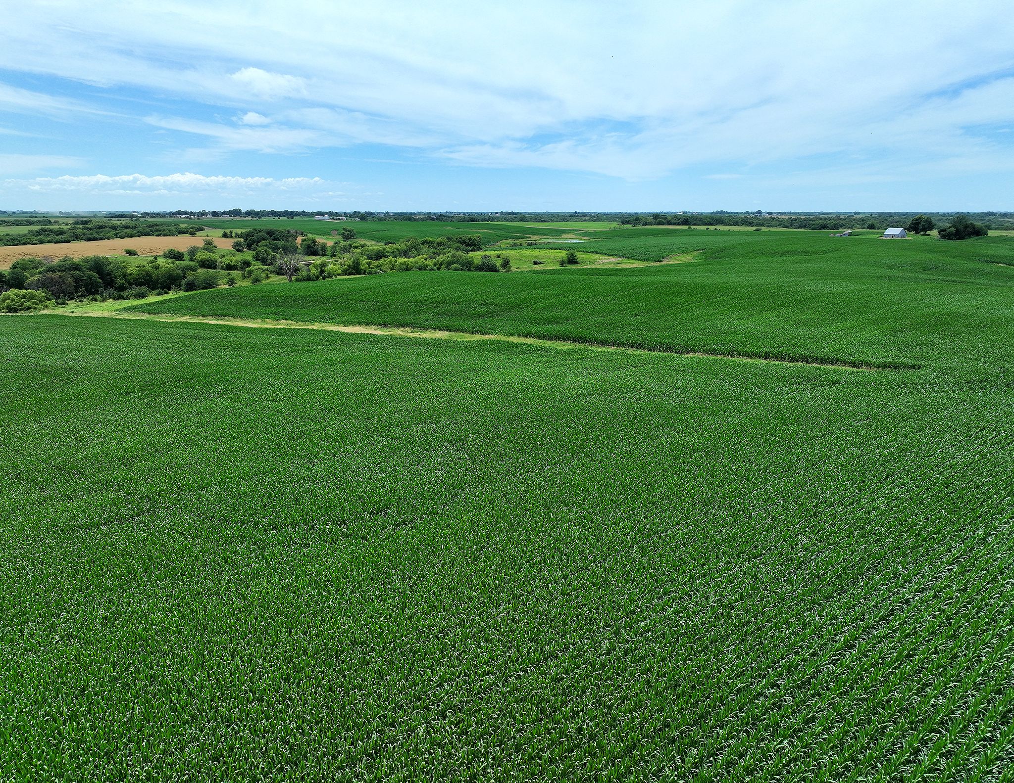 Listing Photo: DJI_0561