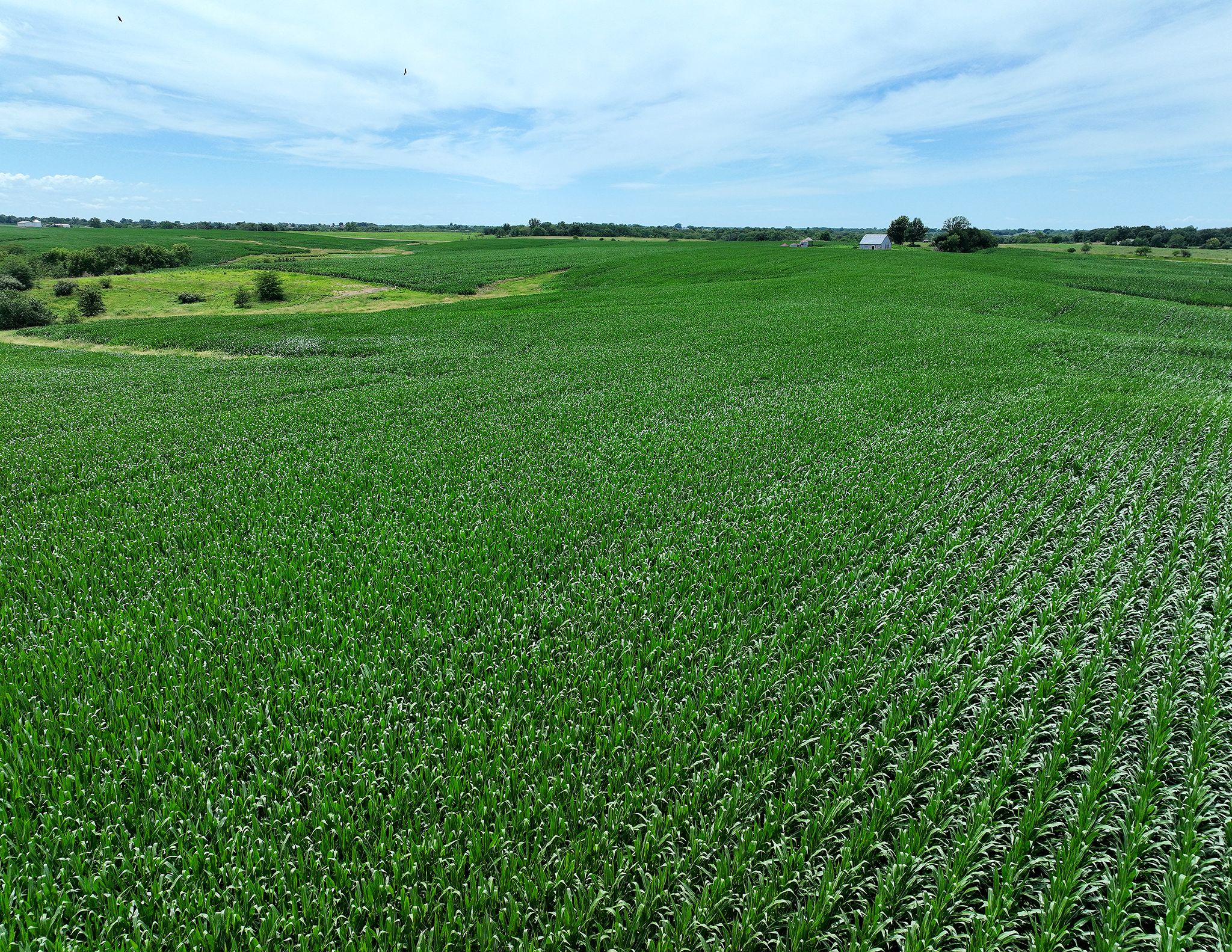 Listing Photo: DJI_0564