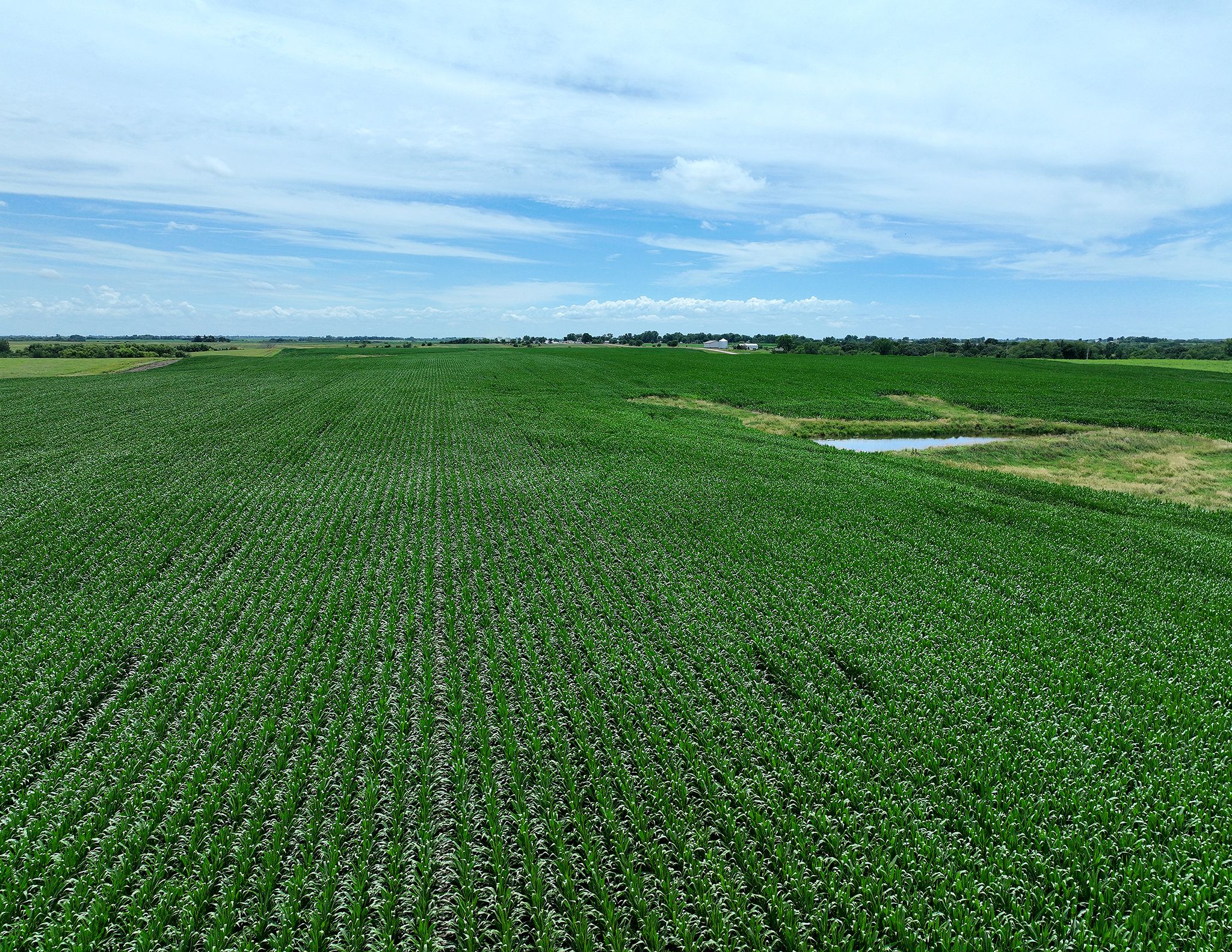 Listing Photo: DJI_0569