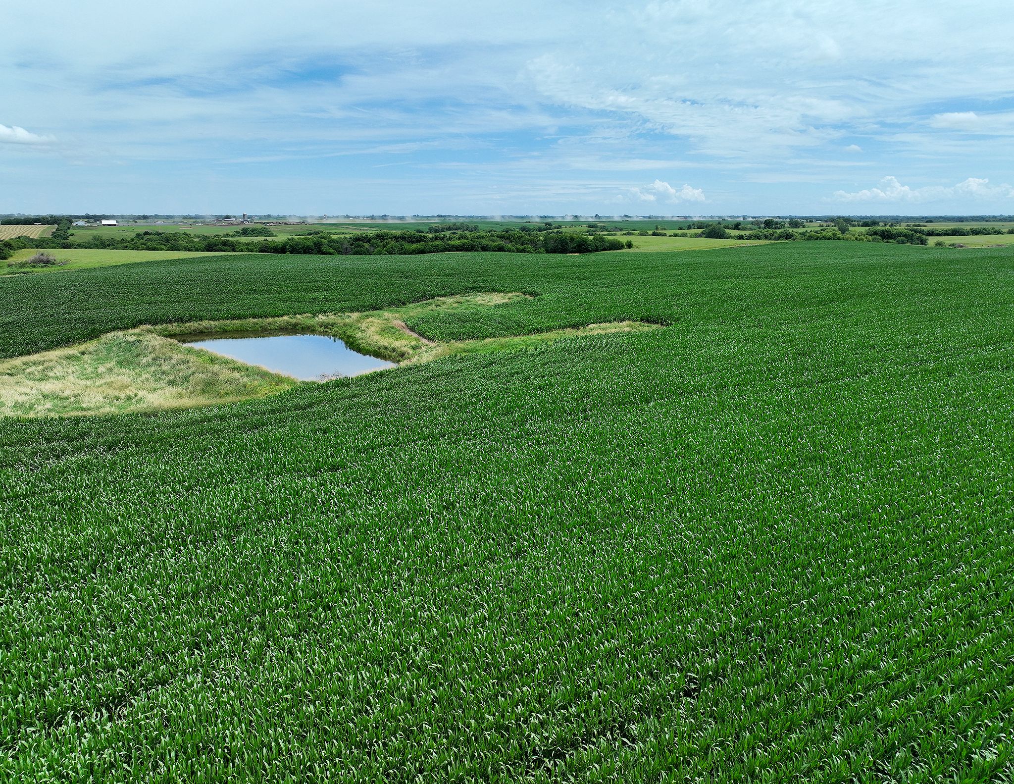 Listing Photo: DJI_0572