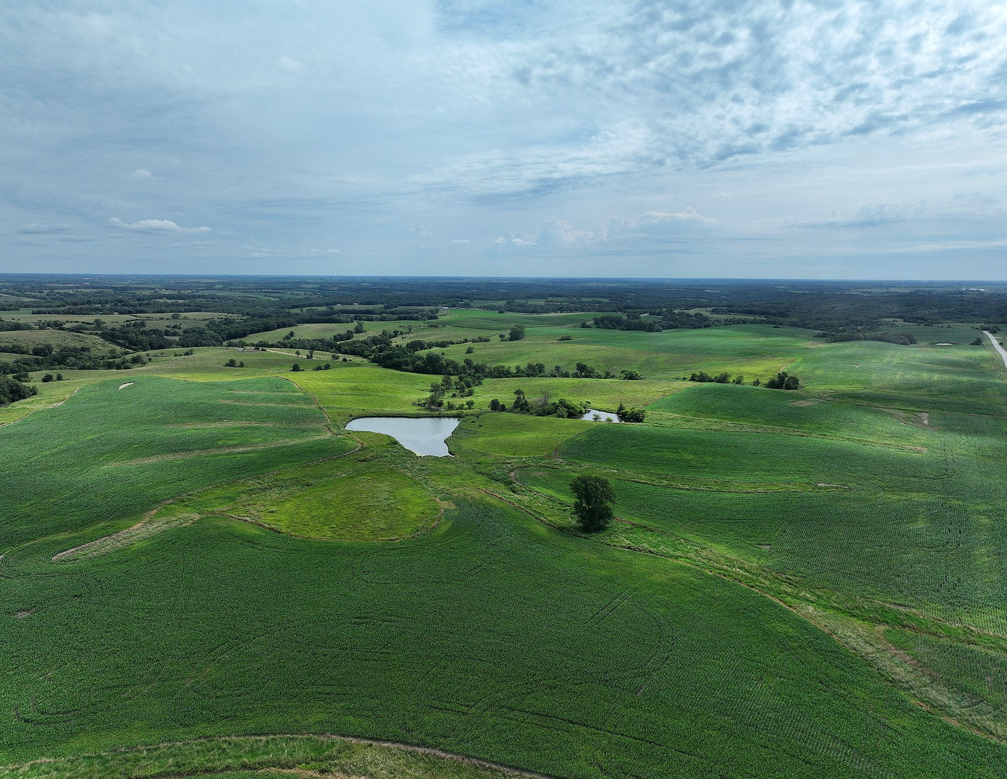 Listing Photo: DJI_0498