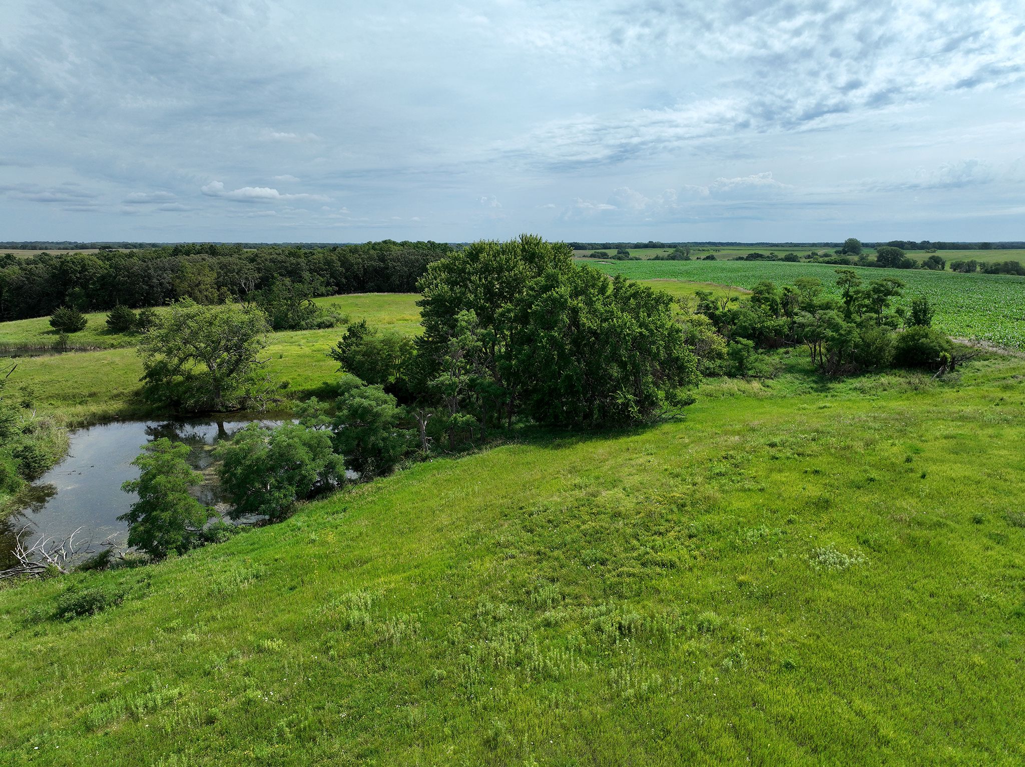 Listing Photo: DJI_0501