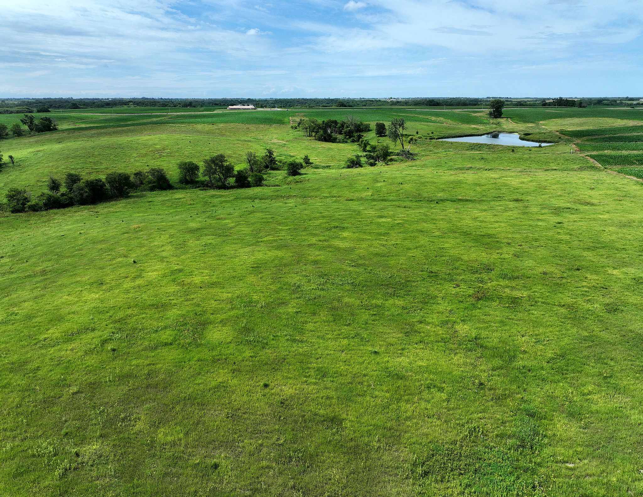 Listing Photo: DJI_0507
