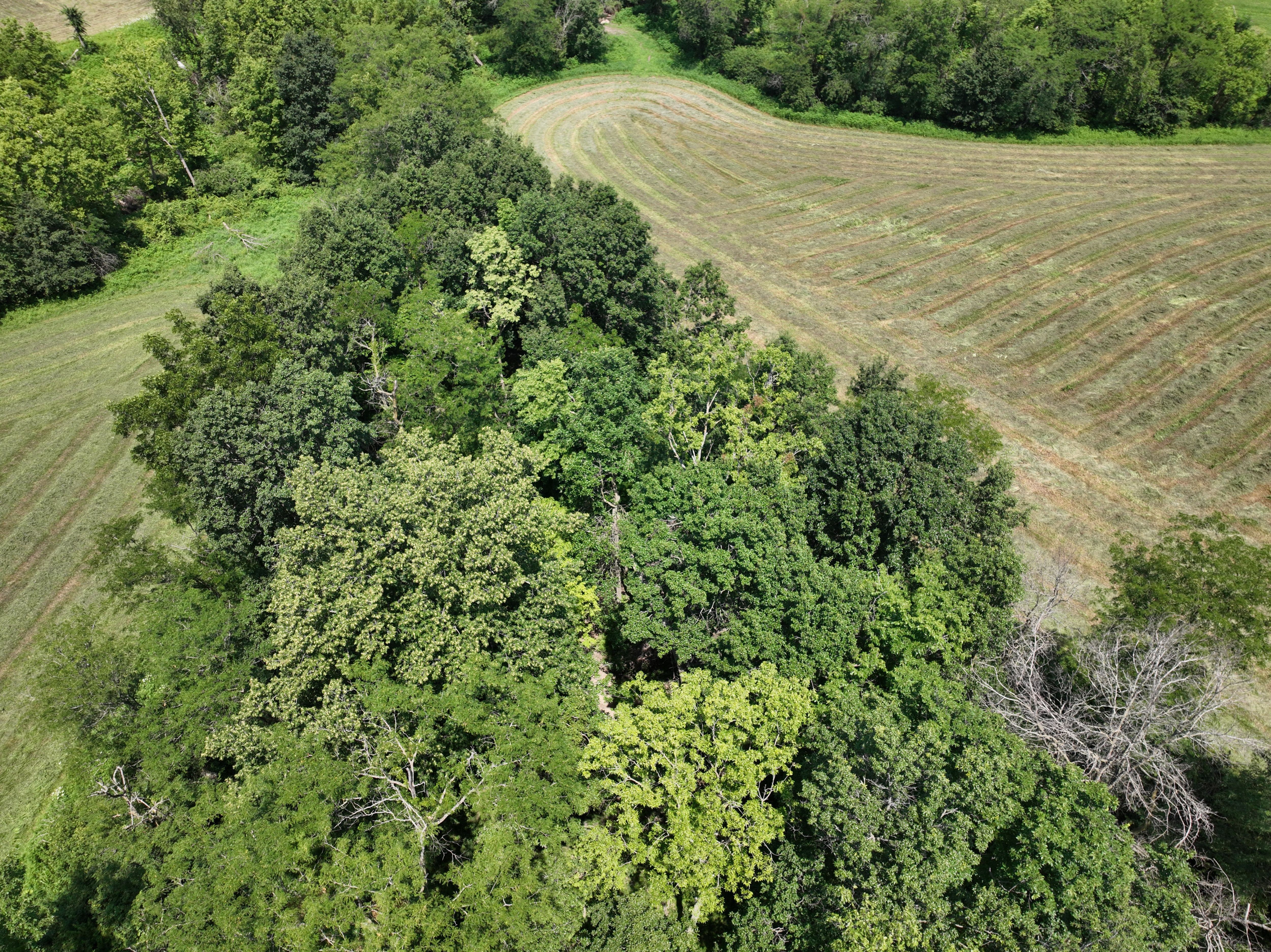 Listing Photo: DJI_0829