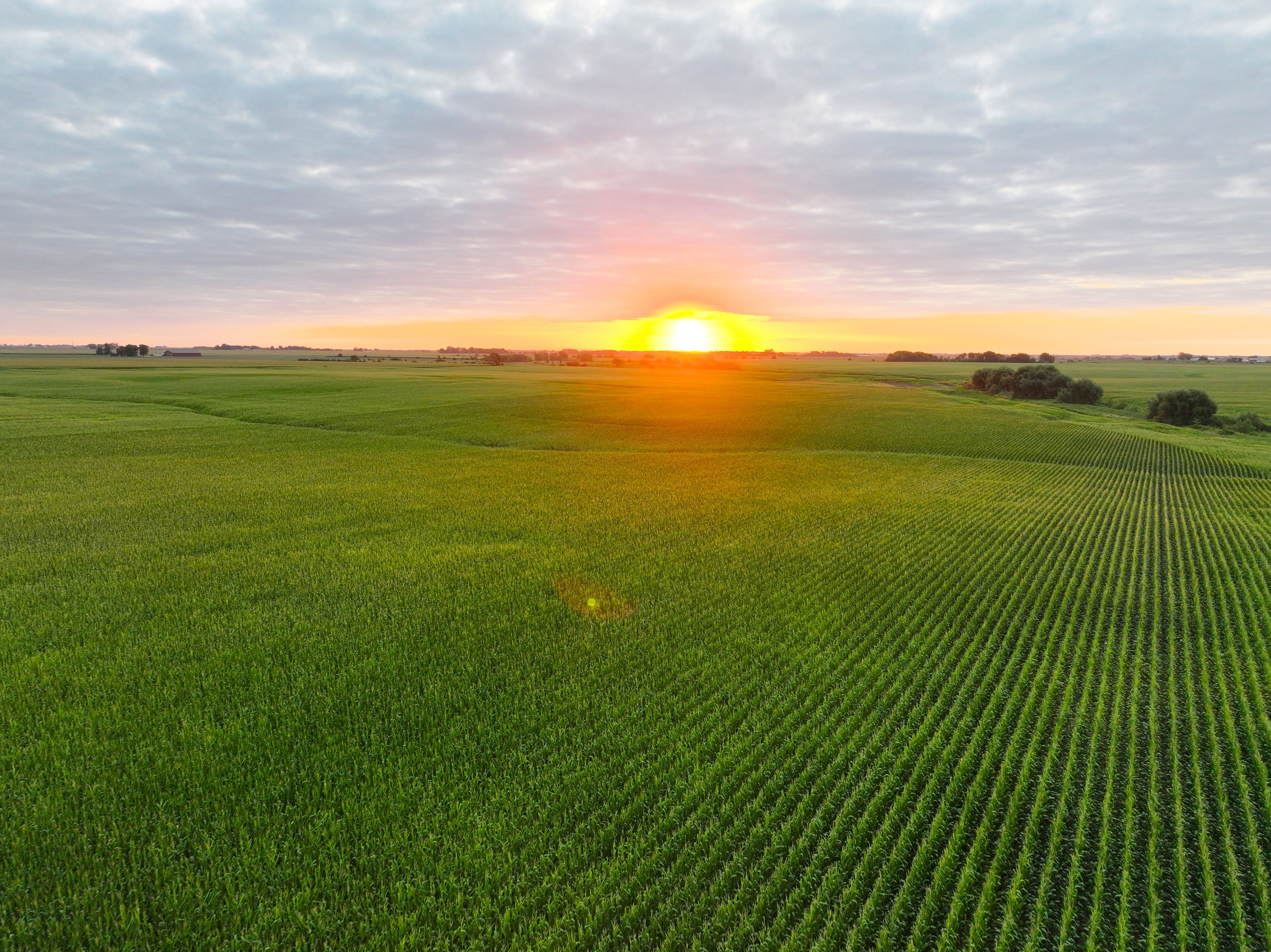 Listing Photo: Iowa-Farmland-For-Sale