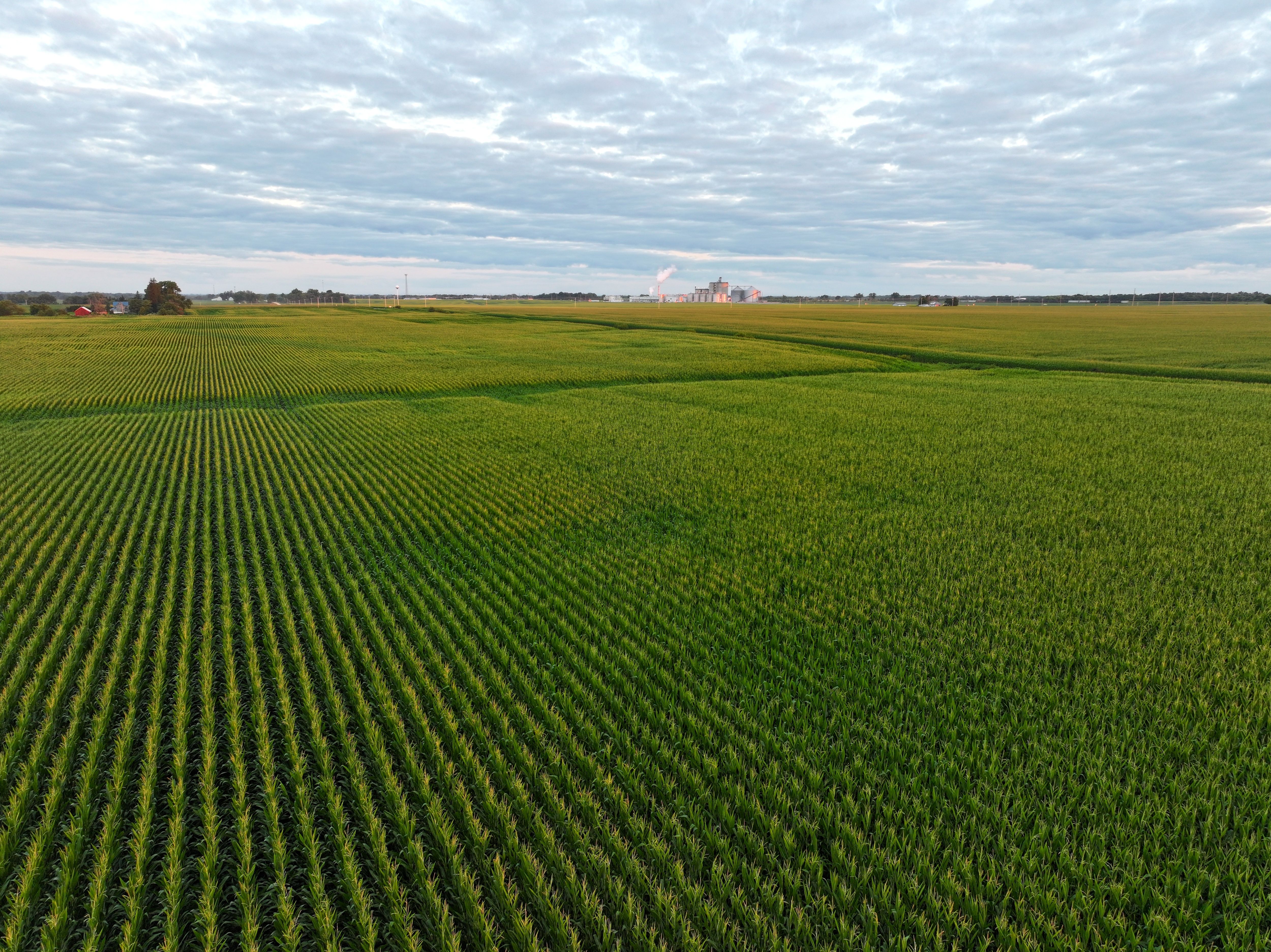 Listing Photo: Quality_Farmland_Available_Ethanol_Plant