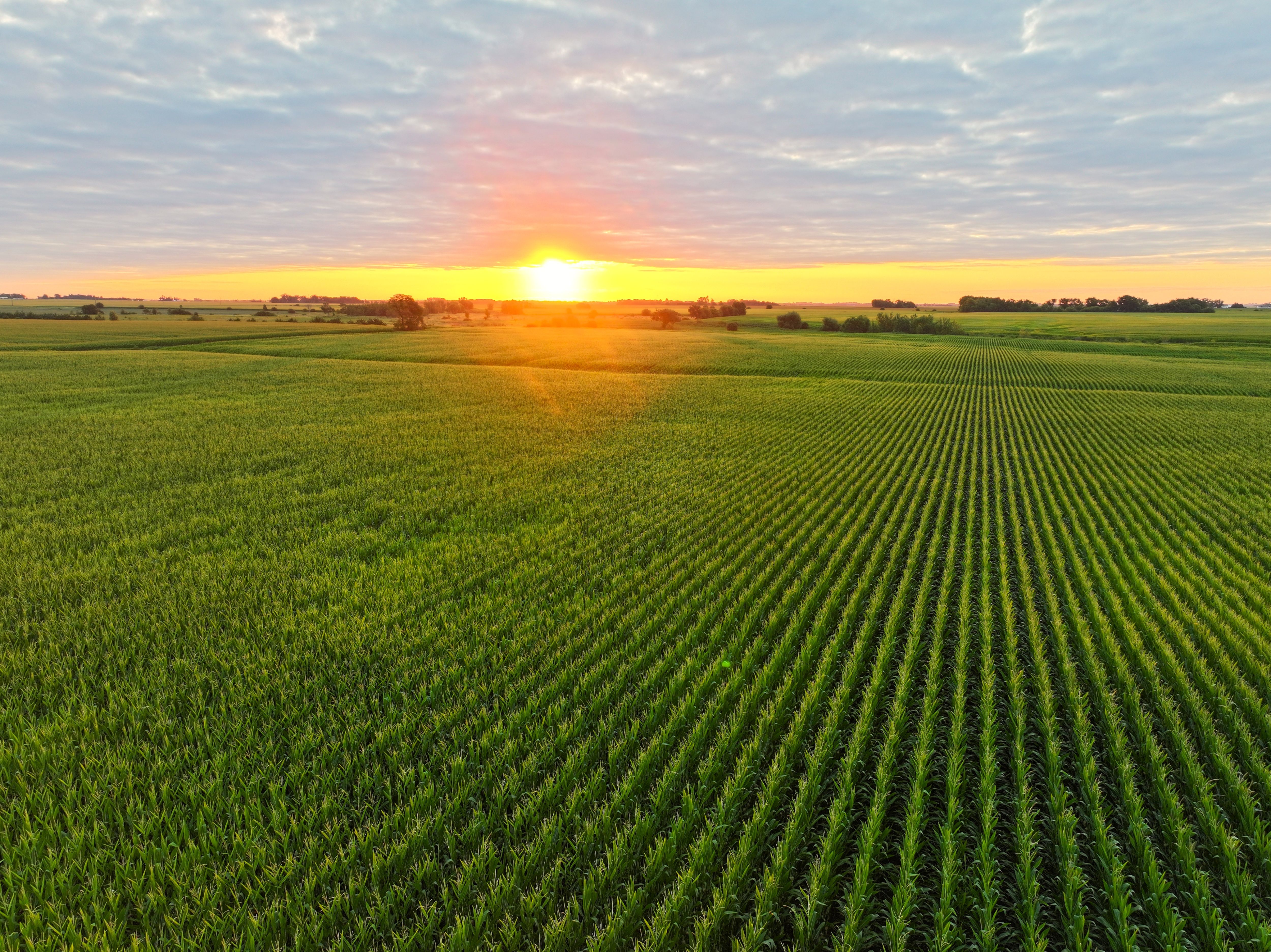 Listing Photo: Fairbank_Iowa_Sunrise
