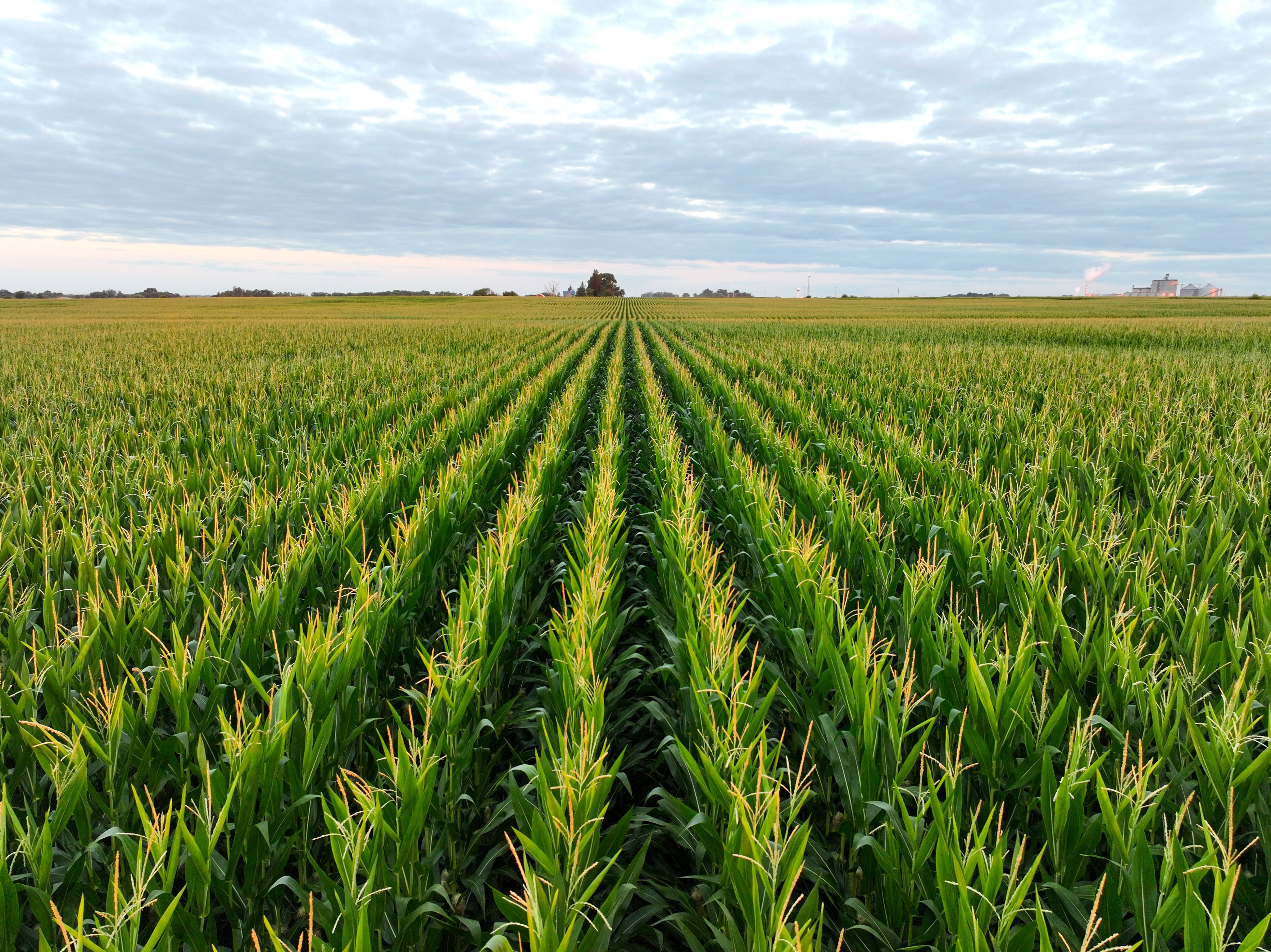 Listing Photo: Land_listing_POET_Fairbank_Ethanol_Plant