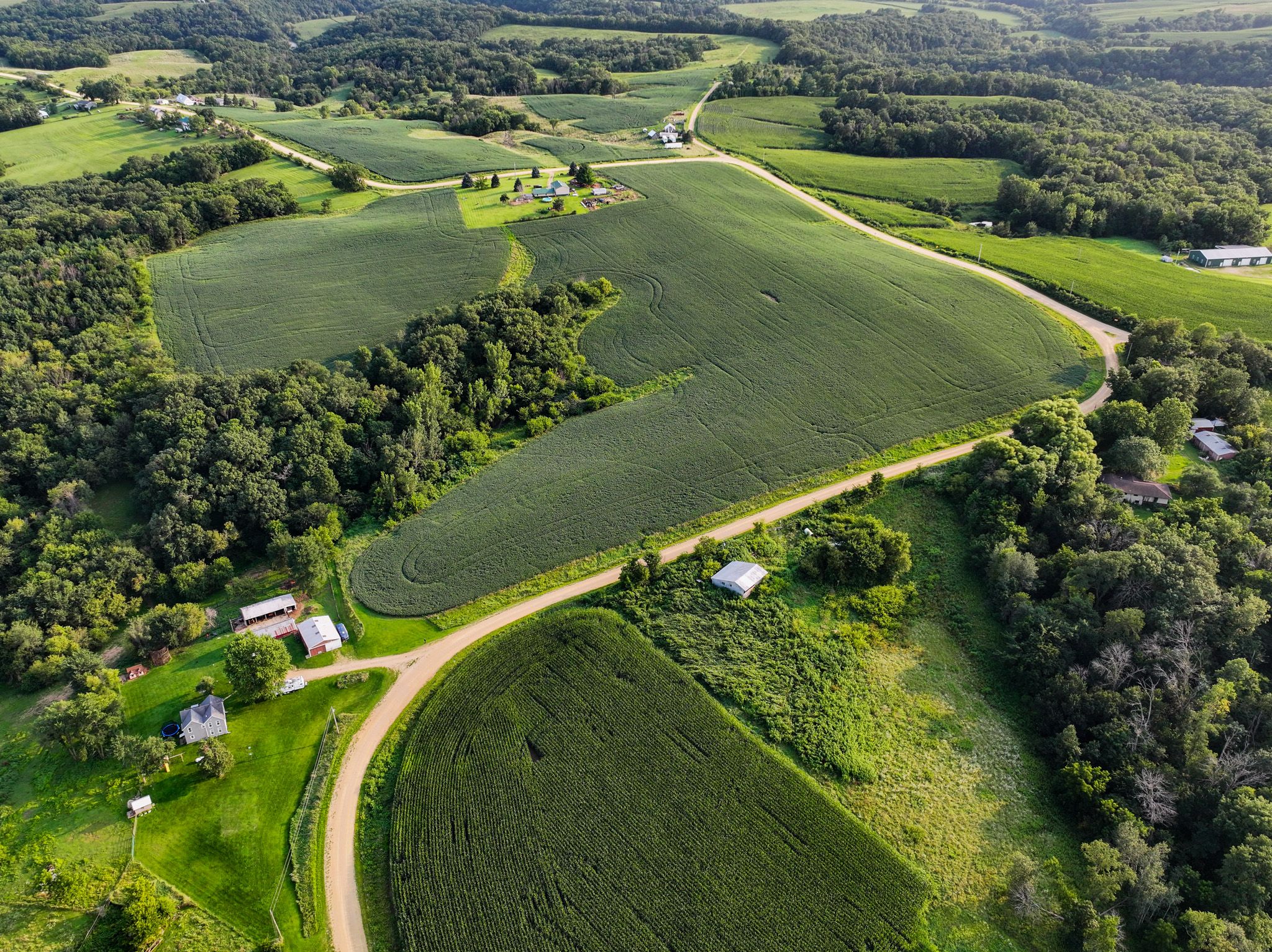 Listing Photo: Land For Sale in Jackson County Iowa
