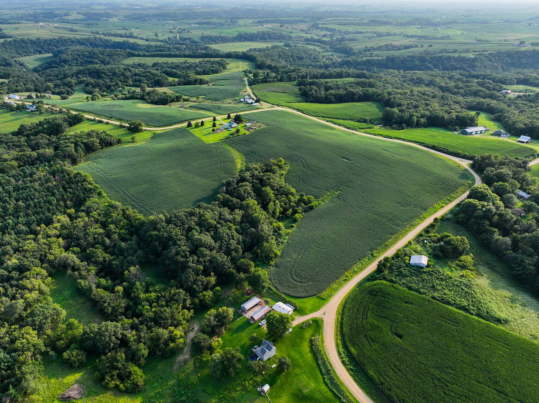 Listing Photo: Land For Sale in Jackson County Iowa