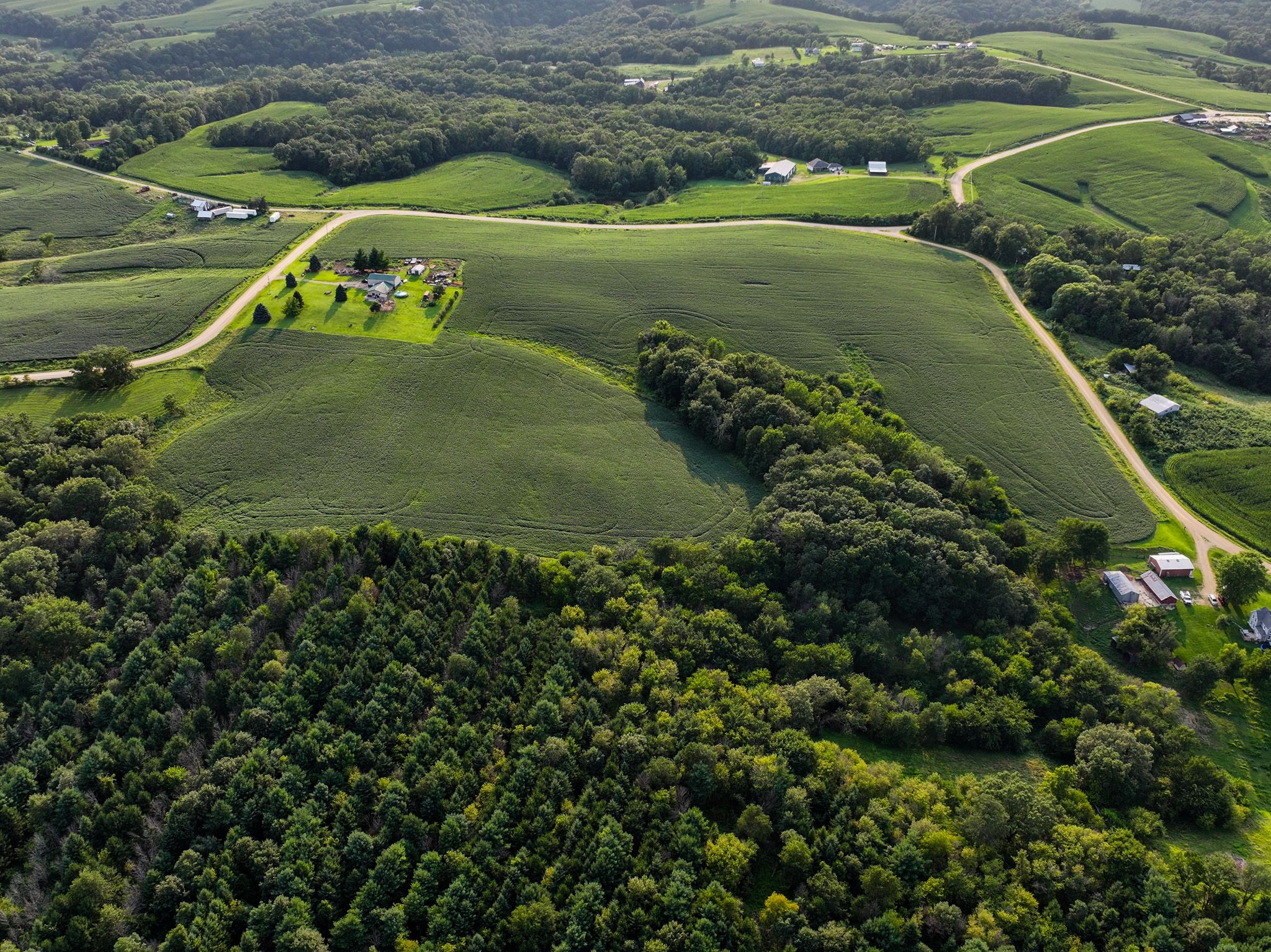 Listing Photo: Land For Sale in Jackson County Iowa