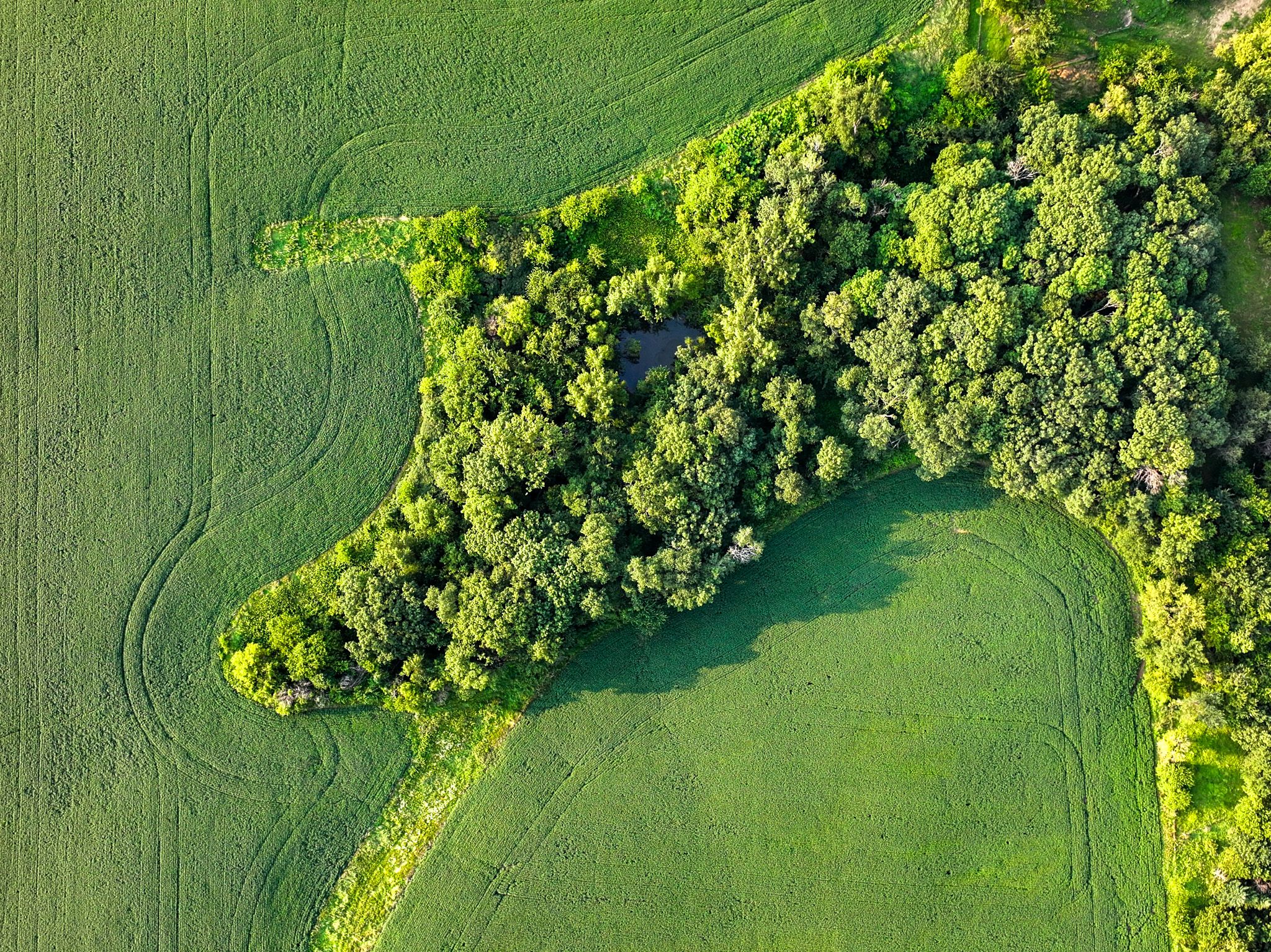 Listing Photo: Eastern Iowa Land For Sale
