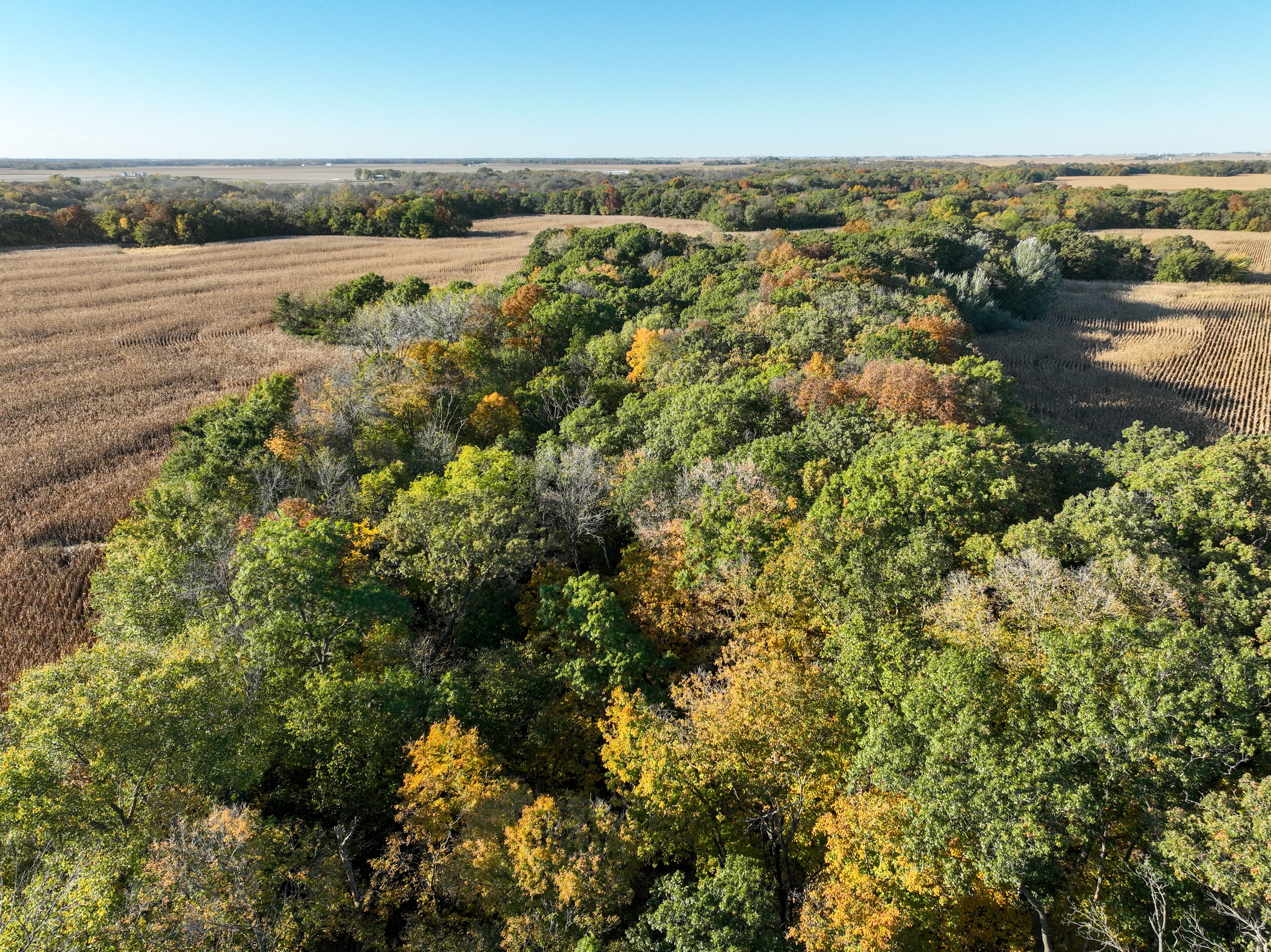 Listing Photo: DJI_0985
