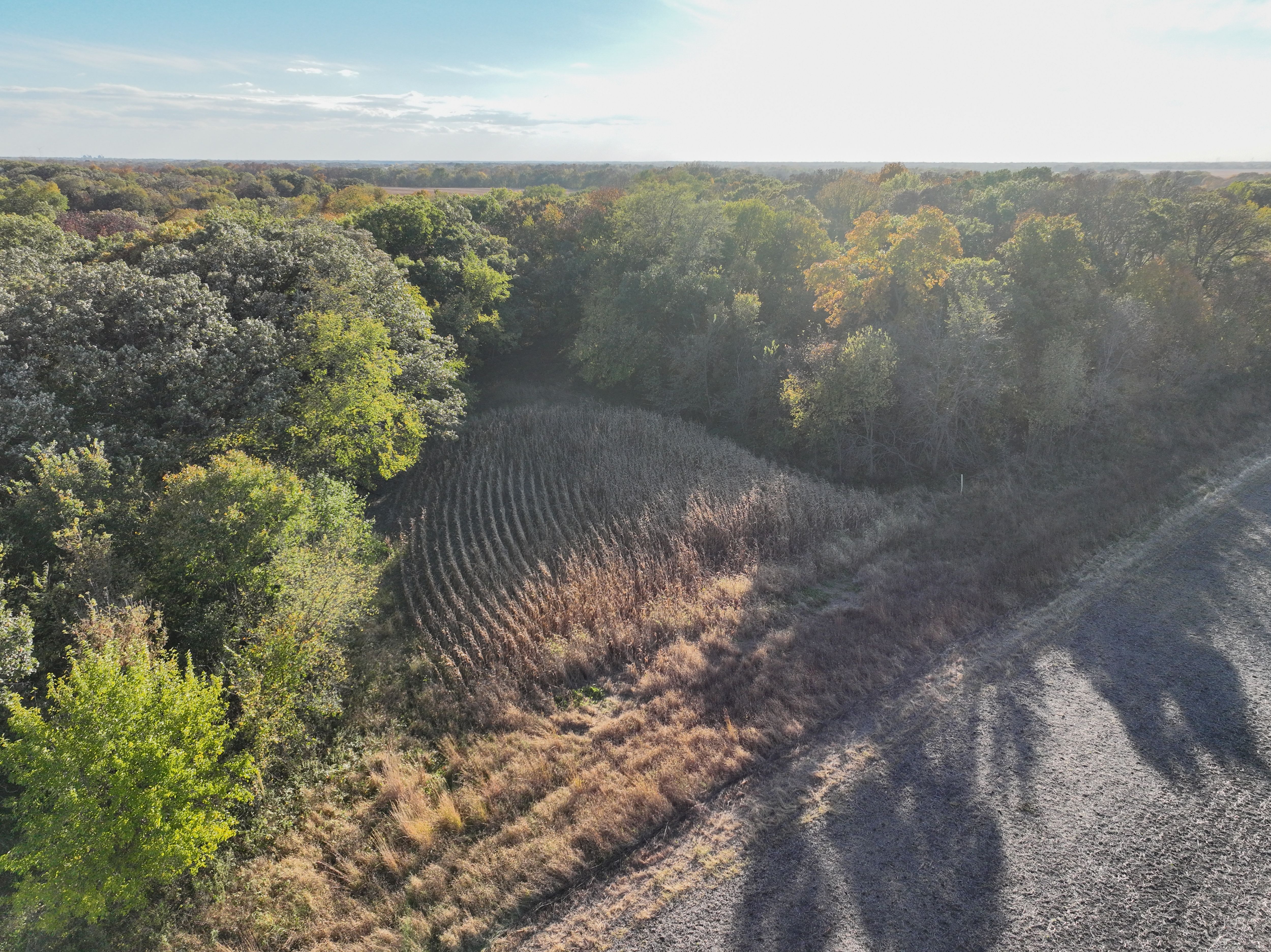 Listing Photo: DJI_0998