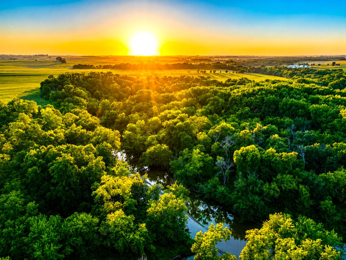 Listing Photo: Iowa-Land-Sale