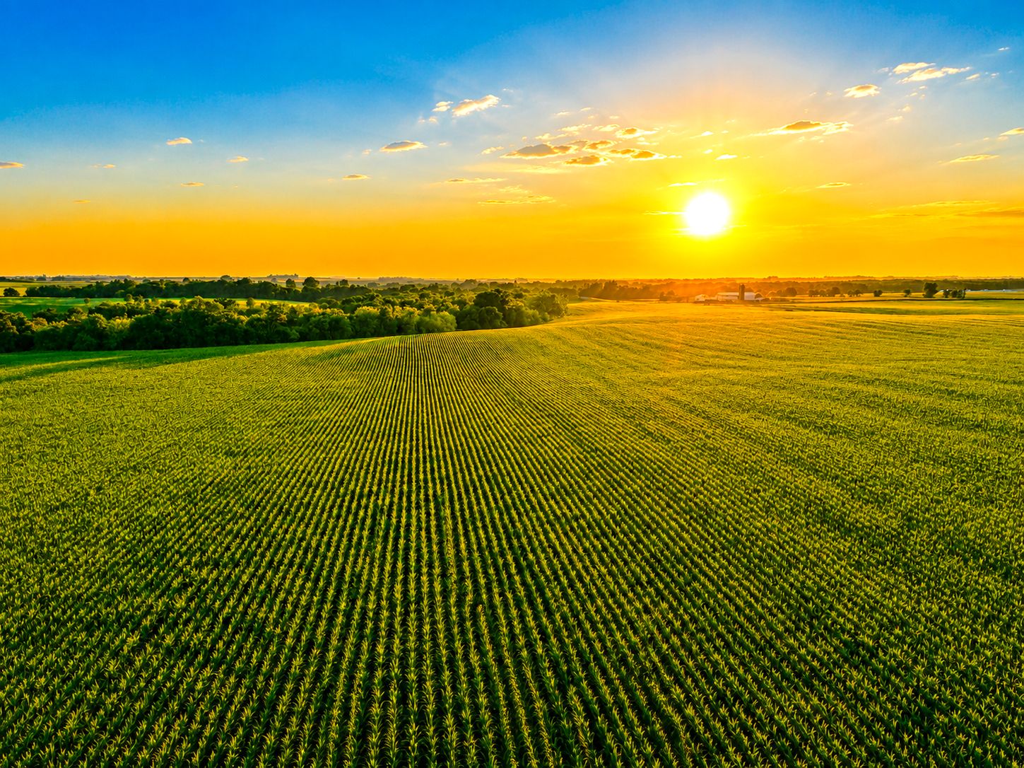 Listing Photo: Iowa-Land-For-Sale