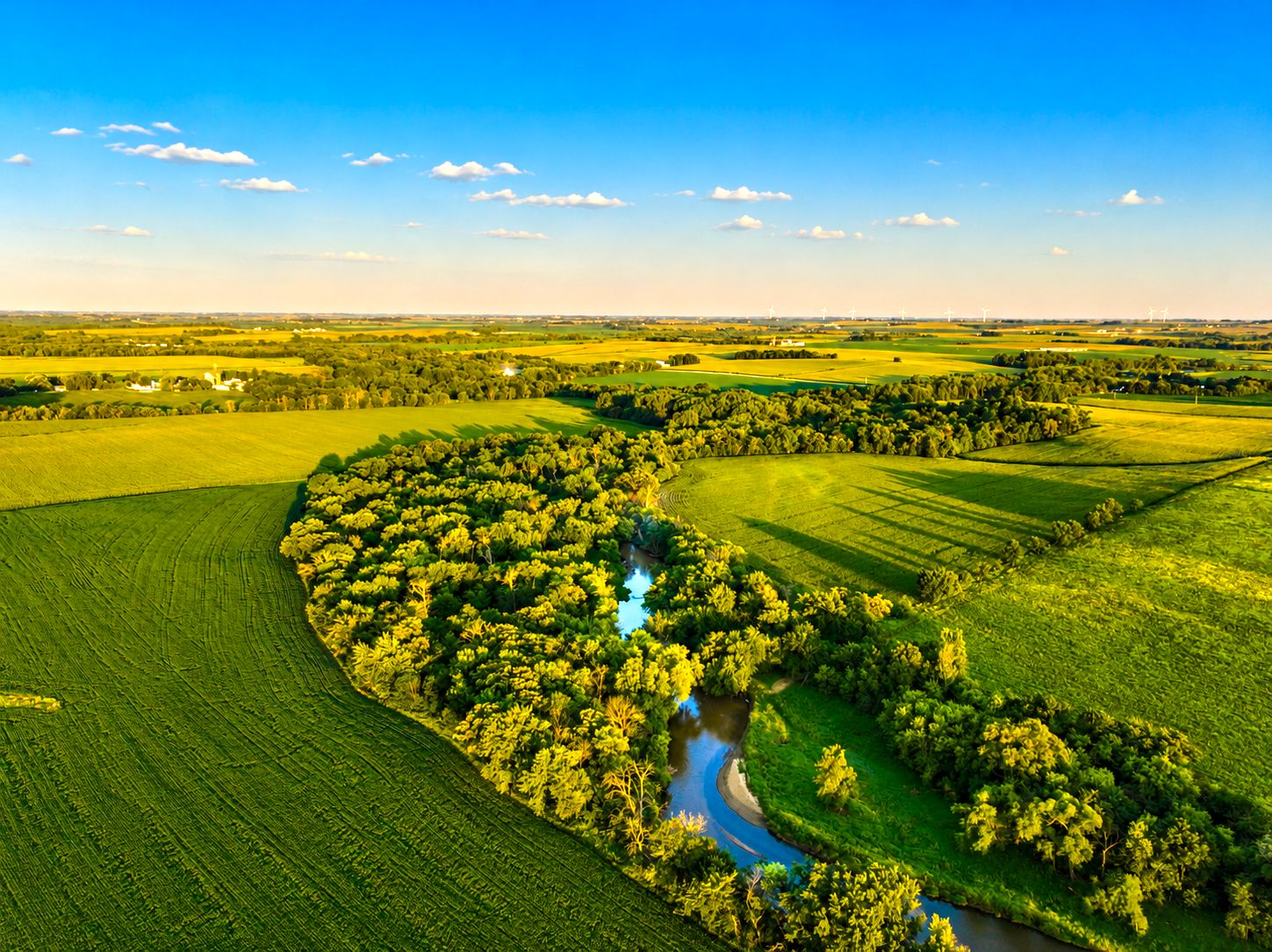 Listing Photo: Iowa-Recreational-and-Tillable-Land
