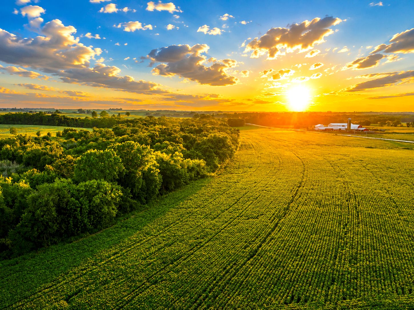 Listing Photo: Iowa-Deer-Turkey-Farmland