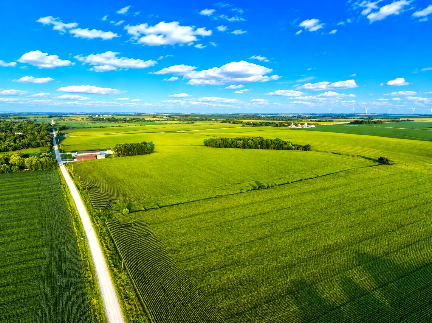 Listing Photo: Iowa-Farmland-Available
