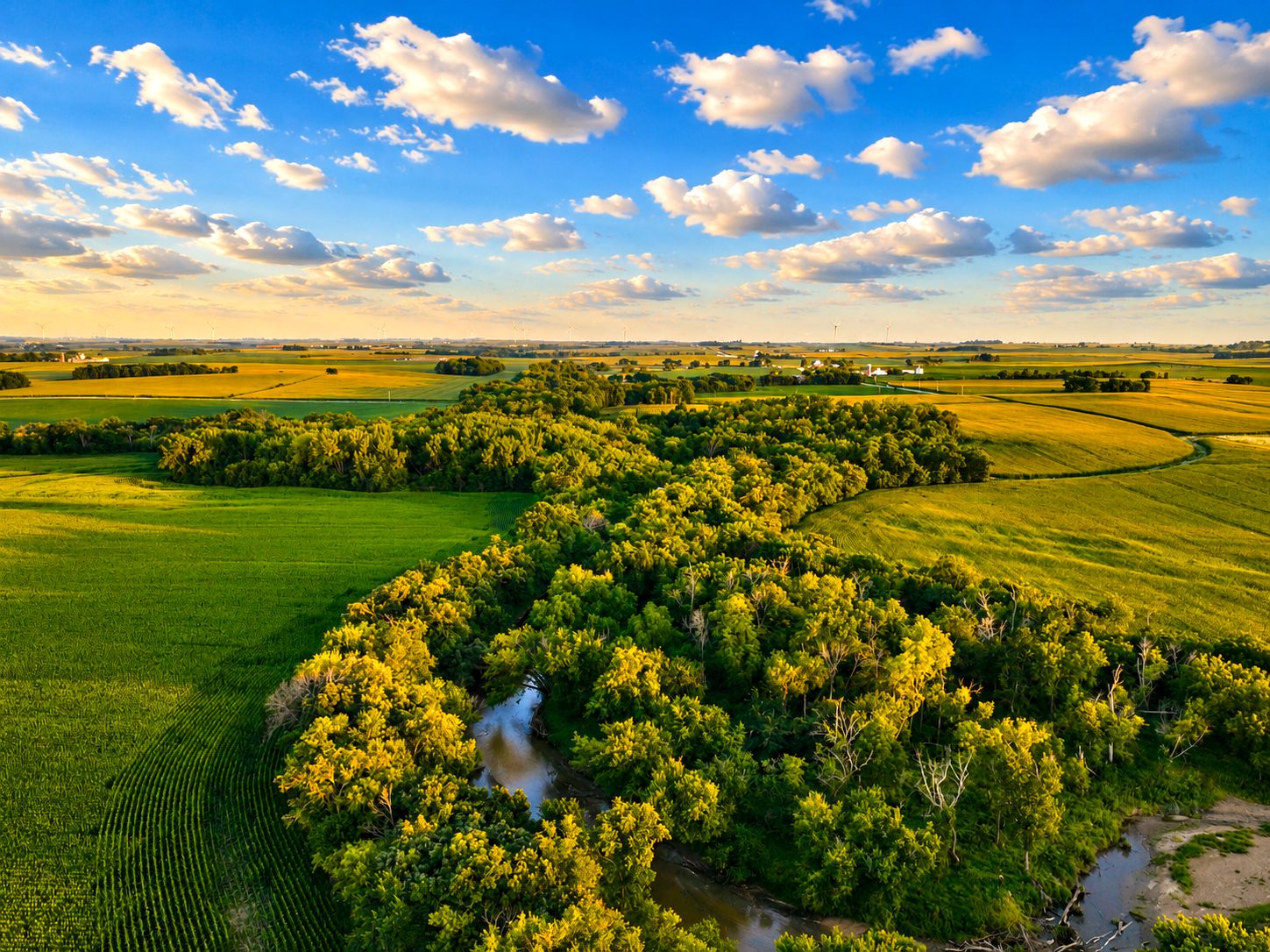 Listing Photo: Iowa-Hunting-Land-For-Sale